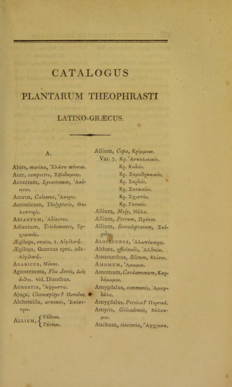 PLANTARUM THEOPHRASTI LATINO-GR^CUS. A. Abies, marina, ’EAar>j zrivna. Acer, campestre, 'ZtpiihtfAvos. Aconitum, Lycoctonum, ’A*«- ViTflV, Acorus, Calamus, Axo^os. Acrosticum, Thelypteris, Qv- Xl/3'TSj/f. AdiaNTUM, ’AS/asvcav. Adiantum, Trichomanes, To/- j?Egilops, ovata, I. AiylKa'f'. iEgilops, Quercus spec, Ada: A }ytAti\f/, Agaricus, Muxvs- Agrostem ma, Flos Jovis, Aioj avSts. vid. Dianthus. Aguostis, ”Ay^ucns. Ajuga, Chamcepitys? Ilirvivn. • Alchemilla, arvcnsis, ’Esr/srt- Allium, {r jjS-uov. r«roa». Allium, Cepa, Kgo/ufttiit. Var. 7. Kj.'AffKaAoviKov. Kp. Kytiiov. K^. Kj. ’Safiiov. Kj. 'Znraniov. K^. 2%/rroy. Kg. rrrc-iPt. Allium, A/o/y, Ma/A«. Allium, Porrum, Xl^xtroy. Allium, Scorodoprasum, 2*a- A L O PEC U R U S , ’-\XpjT‘x.supp; . Althaea, officinalis, ’AASaia, Amaranthus, Blitum, Ba/tov. Amo m u m, afx.up.ov. Amamum,Cardamornum, Kag- Sdfiuftoy. Amygdalus, communis,' Au.uy- 2cc A ». Amygdalus, Persica? TU^tnuh. Amyris, Gileadensis, BaAaa- fios. Anchusa, tinctoria, Ay^ovcx.
