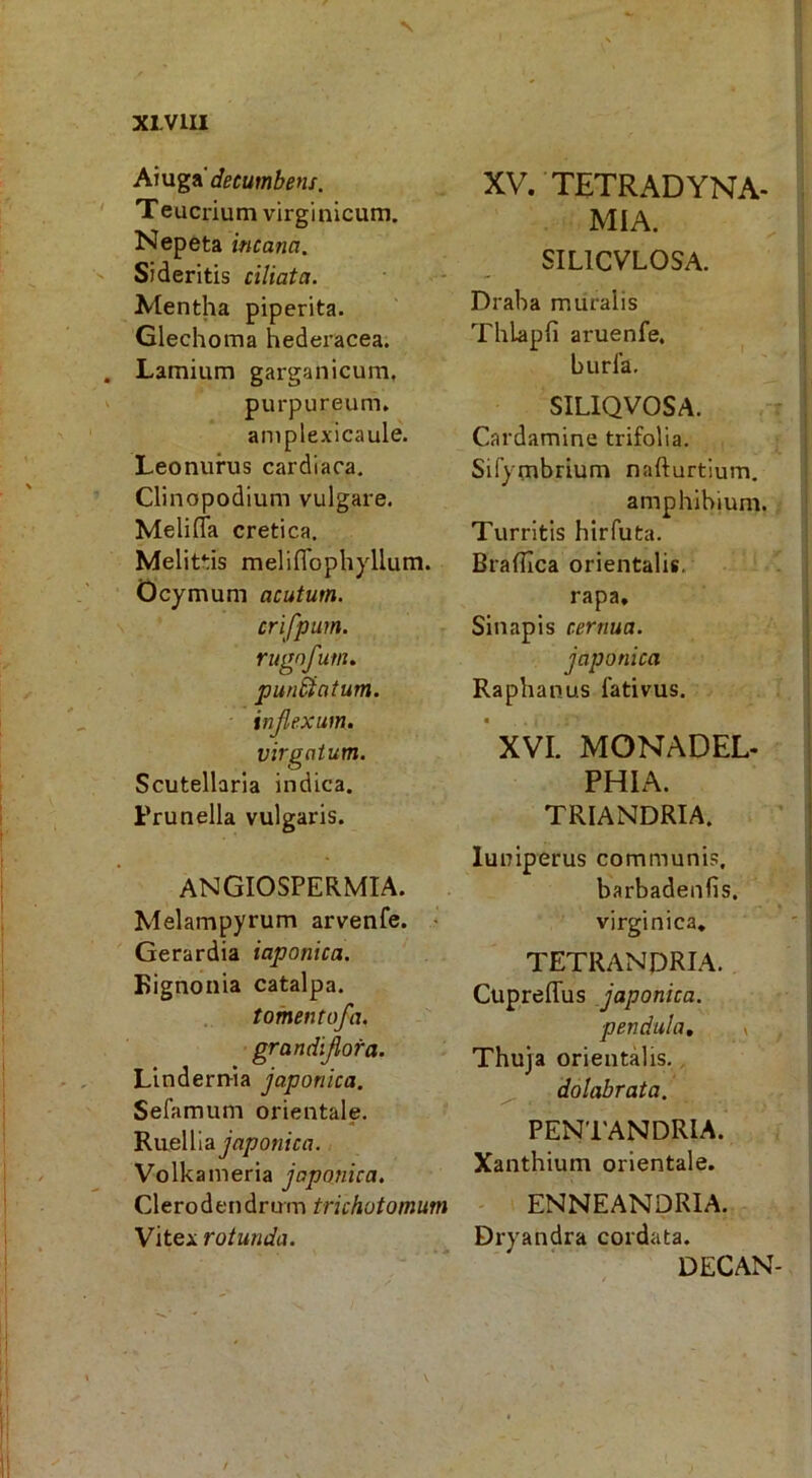 s X1.V1U Aiugn' decumbens. Teucrium virginlcum. Nepeta incana. Sideritis ciliata. Mentha piperita. Glechoma hederacea. Lamium garganicum, purpureum, amplexicaule. Leonufus cardiaca, Clinopodium vulgare. Melifla cretica. Melittis melifloph}dlum. Ocymum acutum. crifpum. rugnfum. punSiatum. inflexum. virgatum. Scutellaria indica. Frunella vulgaris. ANGIOSPERMIA. Melampyrum arvenfe. ^ Gerardia iaponica. Kignonia catalpa. t ornent ofla. grandiflora. Lindern-ia Japonica. Sefamum orientale. Ruelila Japonica. Volkameria Japonica. Clerodendrum trichotomum Vitex rotunda. XV. TETRADYNA- MIA. SILICVLOSA. Draha muralis ThLapfi aruenfe, burla, SILIQVOSA. Cardamine trifolia. Sifymbrium nafturtium, amphihium. Turritis hirfuta. Braflica orientalis, rapa. Sinapis cernua. Japonica Raphanus fativus. • XVI. MONADEL- PHIA. TRIANDRIA. luniperus communis, barbadenfis. virginica, TETRANDRIA. Cupreflus Japonica. pendula, » Thuja orientalis,, ^ dolabrata. PENTANDRIA. Xanthium orientale. ' ENNEANDRIA. Dryandra cordata. DECAN