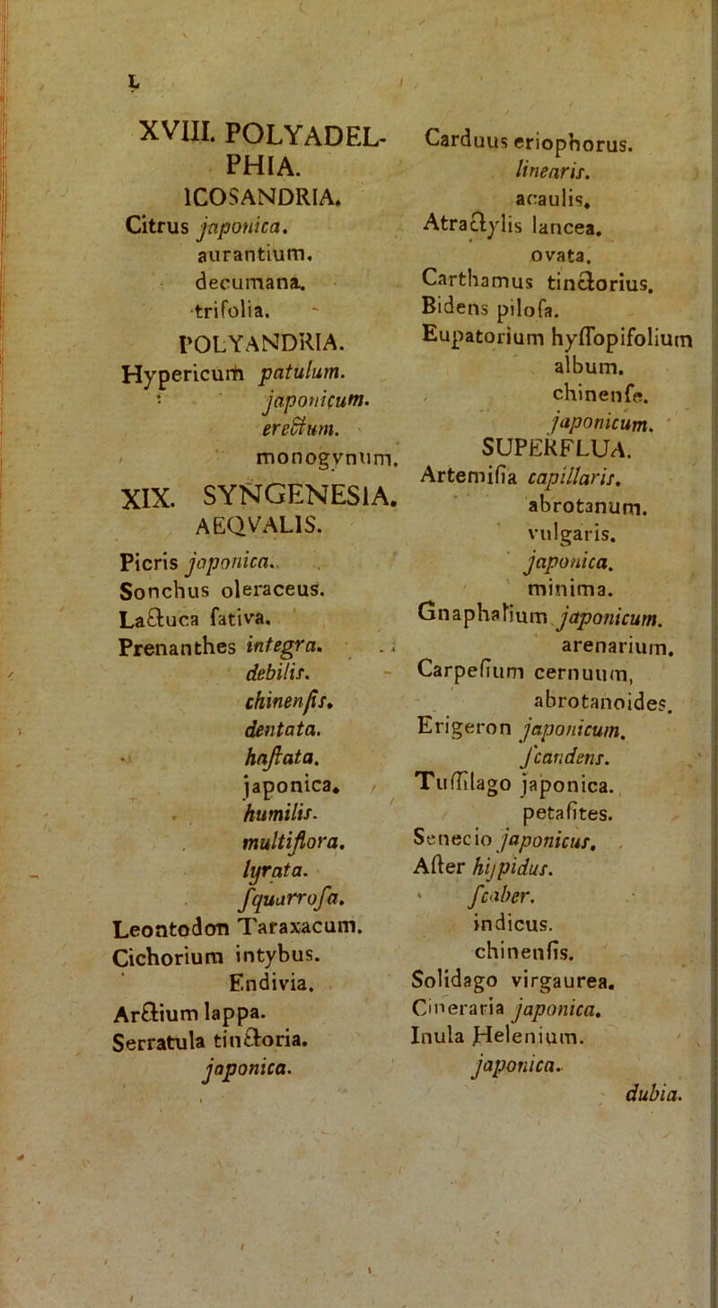 / XVIII. POLYADEL- PHIA. ICOSANDRIA. Citrus japonka. aurantium. decumana, ■trifolia, POLYAMDRIA. Hypericurti patulum. • Japonicum. ereSium. - > monogyniim, XIX. SYNGENESiA. AEQVALIS. Picris Japonica. Sonchus oleraceus. La£luca fativa. Prenanthes inte^a. . i debilis, chinenfs» dentata, hajlata, japonica* / . humilis. multiflora. lyrata. fquarrofa. Leontodon Taraxacum. Cichorium intybus. Endivia. Arftium lappa. Serratula tin£Ioria. Japonica. Carduus eriophorus. linearis. acaulis, Atraclylis lancea. ovata, Carthamus tinclorius. Bidens pilofa. Eupatorium hyflbpifolium album. , chinenfe. japonicum. ' SUPERFLUA. Artemifia capillaris. abrotanum, vulgaris. Japonica. minima. Gnaphalium yrfpowVw/n. arenarium, Carpefium cernuum, abrotanoides. Erigeron Japonicum, /candens. Tuflilago Japonica. petafites. StwQcio Japonicus, , After hijpidus. ' fcaber. indicus. chinenfis. Solidago virgaurea. Cineraria Japonica, Inula plelenium. ' , Japonica, ' dubia.