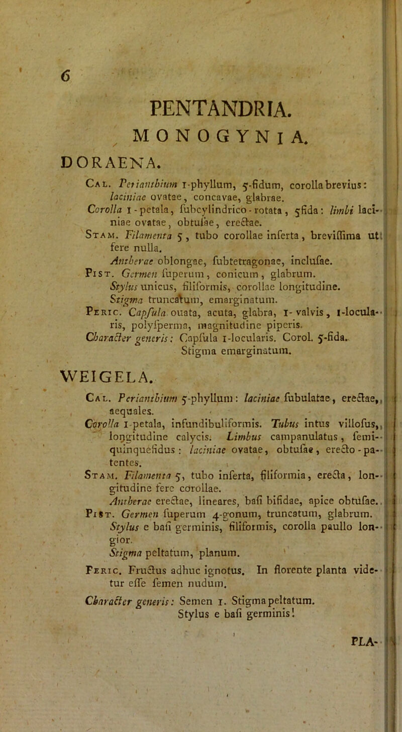 PENTANDRFA. M O N 0 G Y N I A. DORAENA. Cal. Tetiantbium i-phyllum, 5-fidum, corolla brevius: laciniae ovatae, concavae, glabrae. Corolla 1-petala, fubcylindrico-rotata , 5fida: limbi laci-l niae ovatae, obtulae, ereftae. Stam. Filamenta 5, tubo corollae inferta, brevillima utt| fere nuUa, Ajttherae oblongae, fubtetragonae, inclufae. PiST. Germen fuperum, conicum, glabrum. Stylus unicus, filiformis, corollae longitudine. Stigma truncdlum, emarginatum. Peric. Capfula oxx&tz, acuta, glabra, i-valvis, i-locula**l ris, polyfperma, magnitudine piperis. Chara^er generis: Capfula i-locularis. Corol. J-fida. Stigma emarginatum. WEIGELA. Cal. Periambium ^-phyWnxw. /jcm/ae fubulatae, ere£lae,,i aequales. CvroUa i-petala, infundibuliformis. Tubus intus villofus,,| loggitudine calycis; Limbus campanulatus, femi--i quinquefidus : /ac/HZiie ovatae, obtulae, erecto-pa-i tentes. i Stam, Filamenta tubo Inferta, filiformia, erecta, lon-ii gitudine fere corollae. Antberae erectae, lineares, bafi bifidae, apice obtdfae.. PiSt. Germen fuperum 4-gonum, truncatum, glabrum. Stylus e bafi germinis, filiformis, corolla paullo Ion* -1 gior. Stigma peltatum, planum, ' Peric. Fructus adhuc ignotus. In florente planta vide- - ' tur elTe femen nudum. Character generis: Semen i. Stigma peltatum. Stylus e bafi germinis 1 PLA-