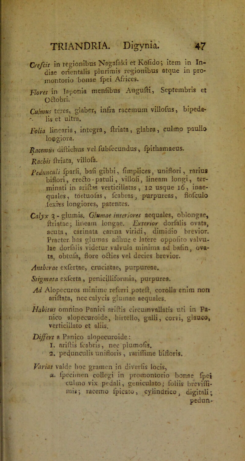 I \ Crefcit in tegionibus Nagafaki et Kofido; item in In- diae orientalis plurimis regionibus atque in pro- montorio bonae fpei Africes. Floret in Taponia menfibus Augufti, Septembris et Octobri. Culmus teres, glaber, infra racemum villofus, bipeda- lis et ultra. folia linearia, integra, ftriata, glabra, culmo paullo longiora. Racemth diftichus vel fubfecundus, fpithamaeus. Radiis ftriata, villofa. PediiHCuli fparli, bafi gibbi, fimplices, uniflori, rarius bifiori, erecto - patuli, villofi, lineam longi, ter- minati in arift.is verticillatas, 12 usque 16, inae- quales, toituofas, fcabras, purpureas, flofculo lexres longiores, patentes. Calyx 3 - glumis. Glumae iutcriores aequales, oblongae, Itriatae; lineain longae. Exterior dorfalis ovata, acuta, carinata carina viridi, dimidio brevior. Praeter, has glumas adhuc e latere oppolito valvu- lae dorfalis videtur valvula minima ad balin, ova- ta, obtufa, flore o£ties vel decies brevior. Antbcrae exfertae, cruciatae, purpureae. Stigmata exferta , penicillifonnia, purpurea. Ad Alopecuros minime referri, pote It, corolla enim non ariftata, nec calycis glumae aequales. Habitus omnino Panici ariftis circumvallatis uti in Pa- nico alopecuroide, hirtello, galli, corvi, glauco, verticillato et aliis. Differt » Vanico alopecuroide; j 1. ariftis fcabris, nec plumolis. 2. pedunculis unifloris , rarlftirne bifloris. Variat valde hoc gramen in diverlis locis, ci. Ipecimen collegi in promontorio bonae fpei culmo vix pedali, geniculato; foliis brevlfli- mis; racemo Ipicato, cylindrico, digitali; pedun-