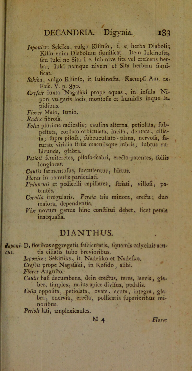 DECANDRIA. ^Digynia. iS3 Japonice’. Spkika, vulgo Kifinfo, i. e. herba Diaboli; Kifin enim Diabolum fignificat. Item lukinofta, fcu luki no Sita i. e. fub nive fita vel crefcens her- ba ; luki namque nivem et Sita herbam figui- ficat. Sekika, vulgo Kifinfo, it. lukinofta. Kaempf. Am. ex. Fafc. p. 87*^- Crejcit iuxta Nagafaki prope aquas , in infula Ni* pon vulgaris locis montofis et humidis inque la- pidibus. Floret Malo, lunio. - Fadix fibrofa. Folia plurima radicalia; caulina alterna, petiolata, fub- peltata, cordato-orbiculata, incifa, dentata , cilia- ta; fupra pilofa, fubcucullato - plana, nervofa, fa- turate viridia ftriis maculisque rubris; fubtus ru- bicunda, glabra. Petioli lemiteretes, pilofo-fcabri, ereclo-patentes, foliis' longiores. Caulis farmentofus, fucculentus, hirtus. Flores in ramulis paniculati. Pedunculi et pedicelli capillares, ftriati, villoli, pa- tentes. Corolla irregularis. Petala tria minora, erecta; duo maiora, dependentia. J^ix novum genus hinc conftitui debet, licet petali inaequalia. DIANTHUS. ✓ • D. floribus aggregatis fafciculatis, fquamis calydnis acu- tis ciliatis tubo brevioribus. Japonice: Sekitfiks, it. Nadeliko et Nadelko. Crcfcit prope Nagalflki, in Kolido , alibi. Fleret AuguftoI Caulis bafi decumbens, dein ere£his, teres, laevis, gla- ber, fimplex, rarius apice divilus, pedalis. Folia oppofita, petiolata, ovata, acuta, integra, gla- bra, enervia, erecta, pollicaria fuperioribus mi- noribus. Petioli lati, amplexicaules. , M4 < Flores