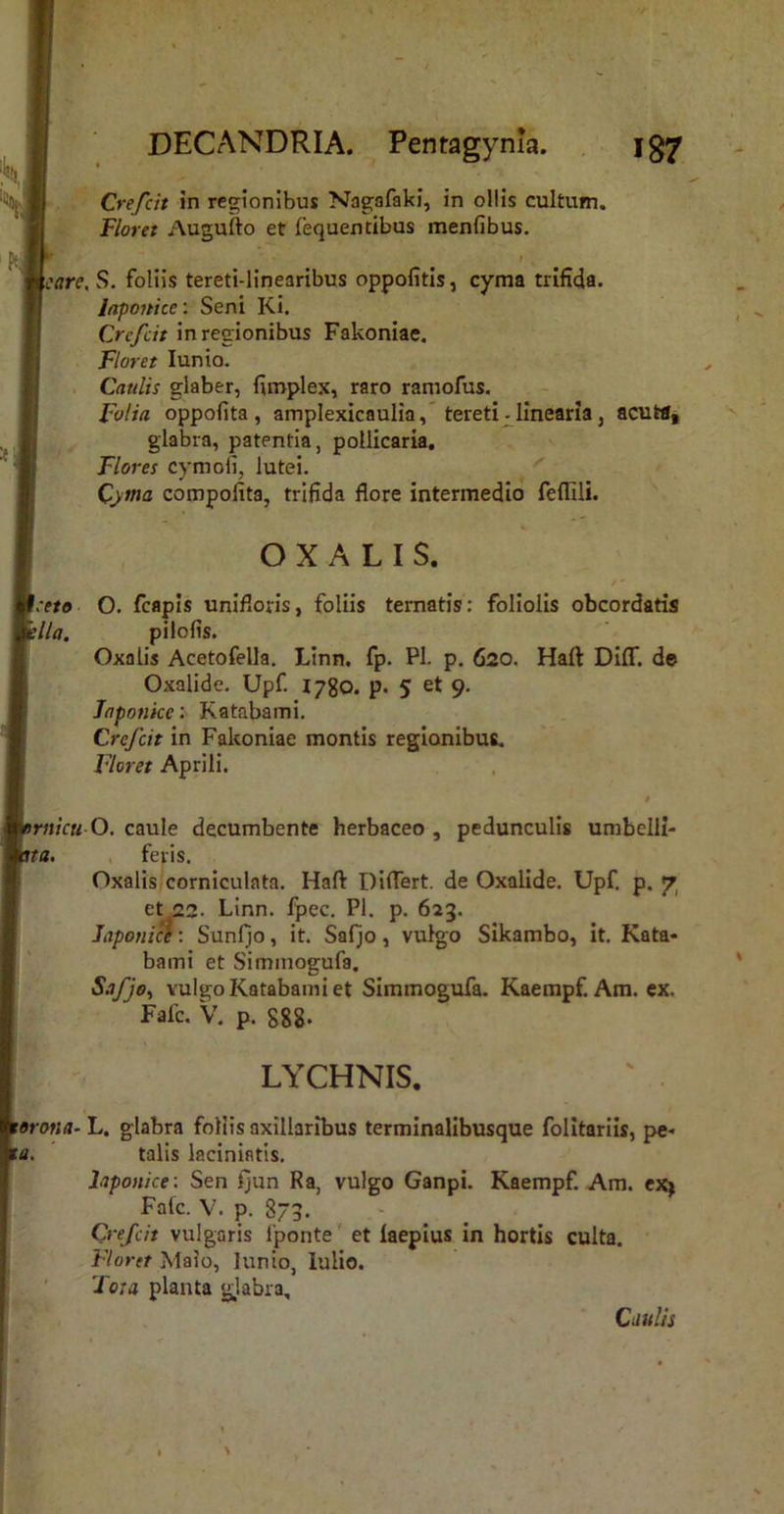 Crefcit in regionibus Nagafaki, in ollis cultum. Floret Augufto et fequentibus menfibus. S. foliis tereti-linearibus oppofitis, cyma trifida. Japonice: Seni Ki. Crefeit in regionibus Fakoniae. Floret lunio. Catilis glaber, fimplex, raro ramofus. Folia oppofita , amplexicaulia,” tereti;^linearia, acuMy glabra, patentia, pollicaria. Flores cymofi, lutei. Cyma compofita, trifida flore intermedio feflili. O X A L I $. 0:tto O. fcapis uniflovis, foliis tematis: foliolis obeordatis pilofis. I Oxalis Acetofella. Linn. fp. Pl. p. 620, Haft Diff. d© : Oxalide, Upf. 1780. p. 5 et 9. , Japonice: Katabami, Crefcit in Fakoniae montis regionibus. Floret Aprili. ; ' ^r«/c«0. caule decumbente herbaceo, pedunculis umbelll- ■Jesta. . feris. 1 j Oxalisicorniculata. Haft Differt, de Oxalide. Upf. p. 7^ et 22. Linn. fpec. Pl. p. 623. I ‘ Japoni^: Sunfjo, it. Safjo, vulgo Sikambo, it. Kata* i .' baini et Siminogufa. ' j Safje^ vulgo Katabami et Simmogufa. Kaempf. Am. ex. # Fafc. V. p. 888. • ^ ■ LYCHNIS. ' . lorona- L, glabra foliis axillaribus terminallbusque folitariis, pe- ttf. talis laciniatis. Japonice: Sen fjun Ra, vulgo Ganpi. Kaempf. Am. exj Fafc. V. p. 873. - . . ‘ - Crefcit vulgaris 1'ponte ' et laepius in hortis culta. F/orrr Maio, lunio, lulio. 'Fota planta glabra. Cdulis