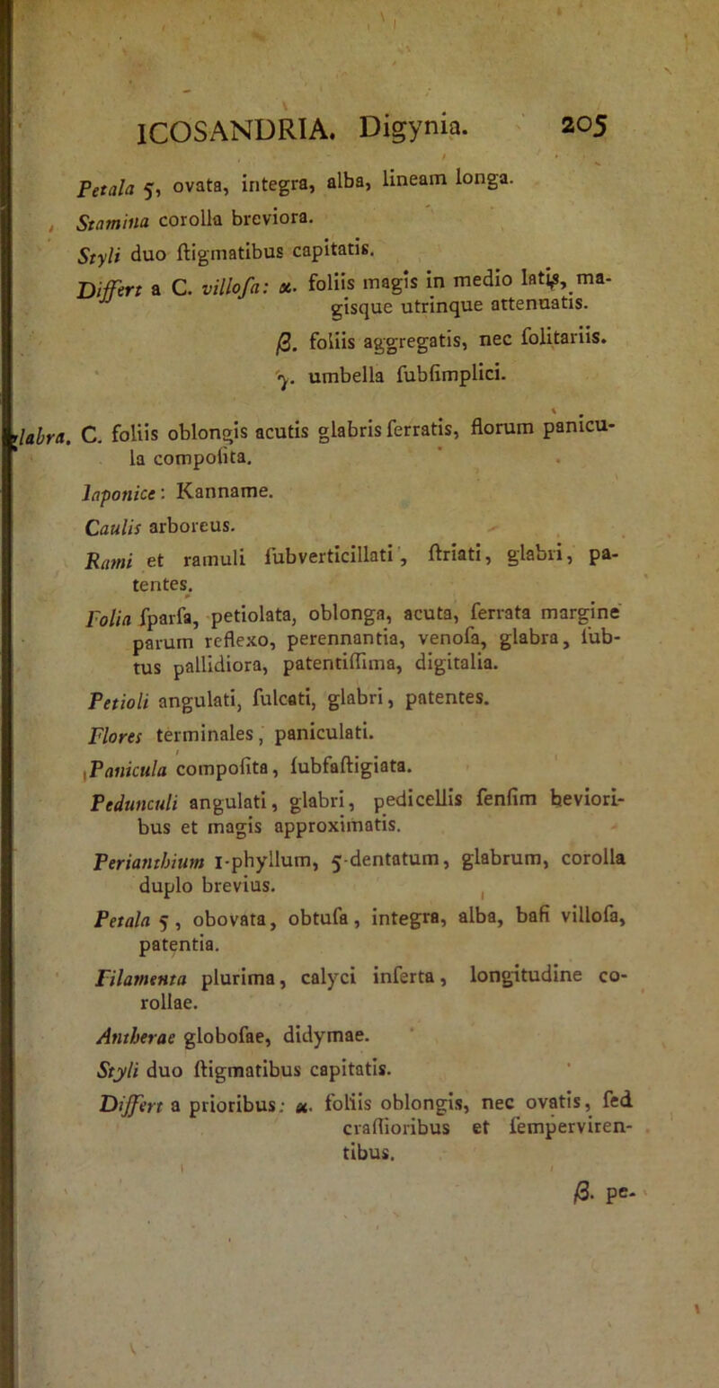 / rjabra. ICOSANURIA. Digynia. ‘ 205 / » • Petala 5, ovata, integra, alba, lineam longa. Stamina corolla breviora. Styli duo ftigmatibus capitatis, Biffert a C. villofa: x. foliis magis In medio lati^,_ma- gisque utrinque attenuatis. jS. foliis aggregatis, nec folitarlls. ' '<y, umbella fublimplici. C. foliis oblongis acutis glabris ferratis, florum panicu- la compolita. laponice: Kanname. Caulis arboreus. Rami et ramuli fubverticillatiftriati, glabri, pa- tentes, Folia fparfa, petiolata, oblonga, acuta, ferrata margine' parum reflexo, perennantia, venofa, glabra, fub- tus pallidiora, patentiflima, digitalia. Petioli angulati, fulcati, glabri, patentes. Flores terminales, paniculati. xPanicula compolita, lubfaftigiata. Pedunculi angulati, glabri, pedicellis fenfim beviori- bus et magis approximatis. Periatithium i-phyllum, 5-dentatum, glabrum, corolla duplo brevius, 1 Petala 5, obovata, obtufa, integra, alba, bafi villofa, patentia. Filamenta plurima, calyci inferta, longitudine co- rollae. Antherae globofae, didymae. Styli duo ftigmatibus capitatis. Biffert a prioribus; «. foliis oblongis, nec ovatis, fed craflioribus et femperviren- tibus.