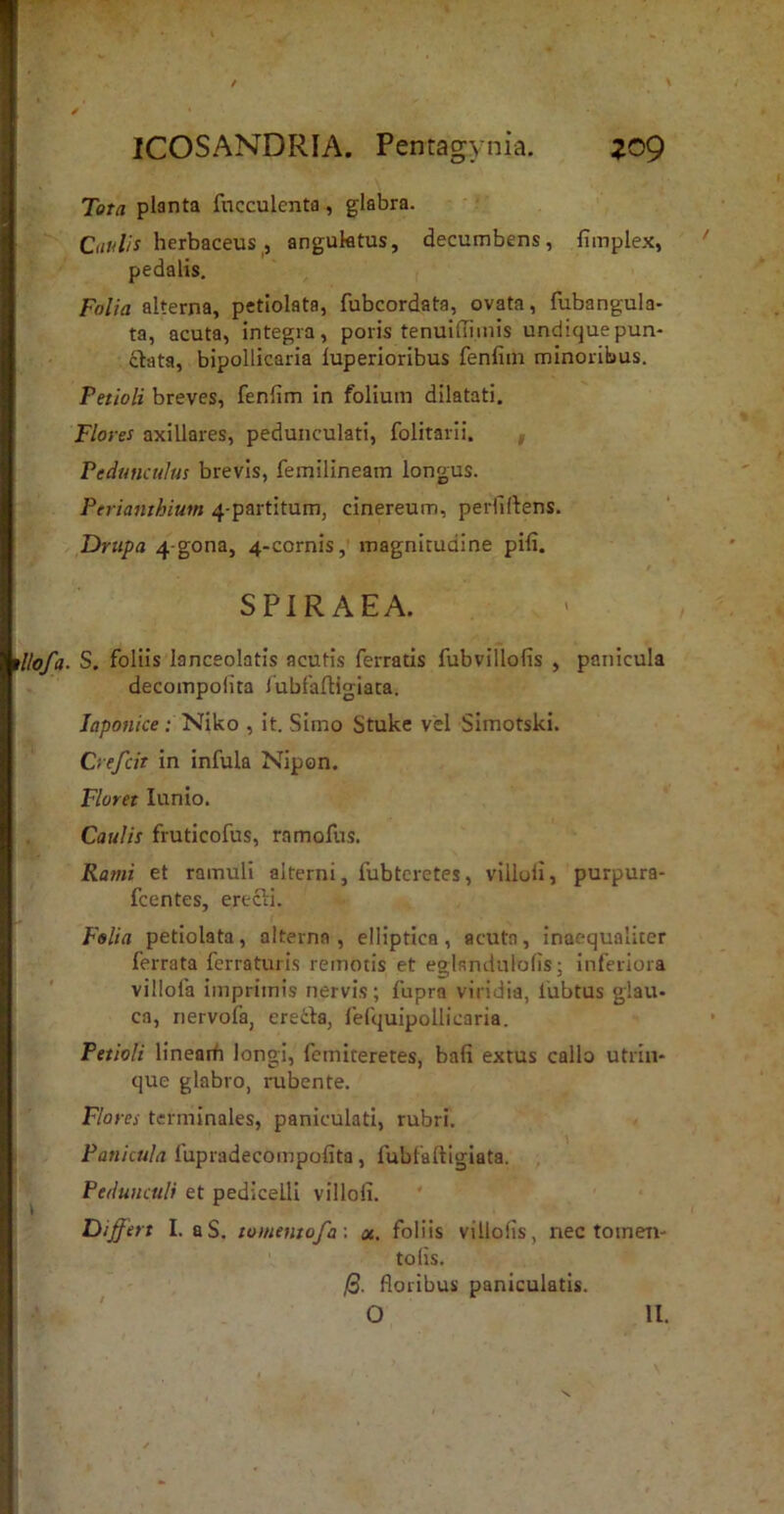 Tota planta fncculenta, glabra. Caulis herbaceus^, anguktus, decumbens, fimplex, pedalis. Folia alterna, petiolata, fubcordata, ovata, fubangula- ta, acuta, integra, poris tenuilTimis undiquepun- dbata, bipollicaria iuperioribus fenfiin minoribus. Petioli breves, fenfim in folium dilatati. Flores axillares, pedunculati, folitarii. , Pedunculus brevis, femilineam longus. Perianthium 4-partitum, cinereum, perlKlens. Drttpa 4-gona, 4-cornis, magnitudine pili. SPIRAEA. llofa. S. foliis lanceolatis acutis ferratis fubvillofis , panicula decompolita lubfalligiata. Japonice ; Niko , it. Simo Stuke vel Simotski. Crefcit in infula Nipon. Floret lunio. Caulis fruticofus, ramofus. Rami et ramuli alterni, fubtcretes, villoii, purpura- fcentes, erecli. Folia petiolata, alterna, elliptica, acuta. Inaequaliter ferrata ferraturis remotis et eglandulolis- Inferiora villofa imprimis nervis; fupra viridia, lubtus glau- ca, nervofaj ereila, fefquipollicaria. Petioli lineaifi longi, femiteretes, bafi extus callo utriii- que glabro, rubente. Flores terminales, paniculati, rubri. Panicula fupradecompofita, lubfalligiata. Pedunculi et pedicelli villofi. Differt I. aS. tomentofa \ «. foliis villolis, nec tomen- tolis. floribus paniculatis. O 11.