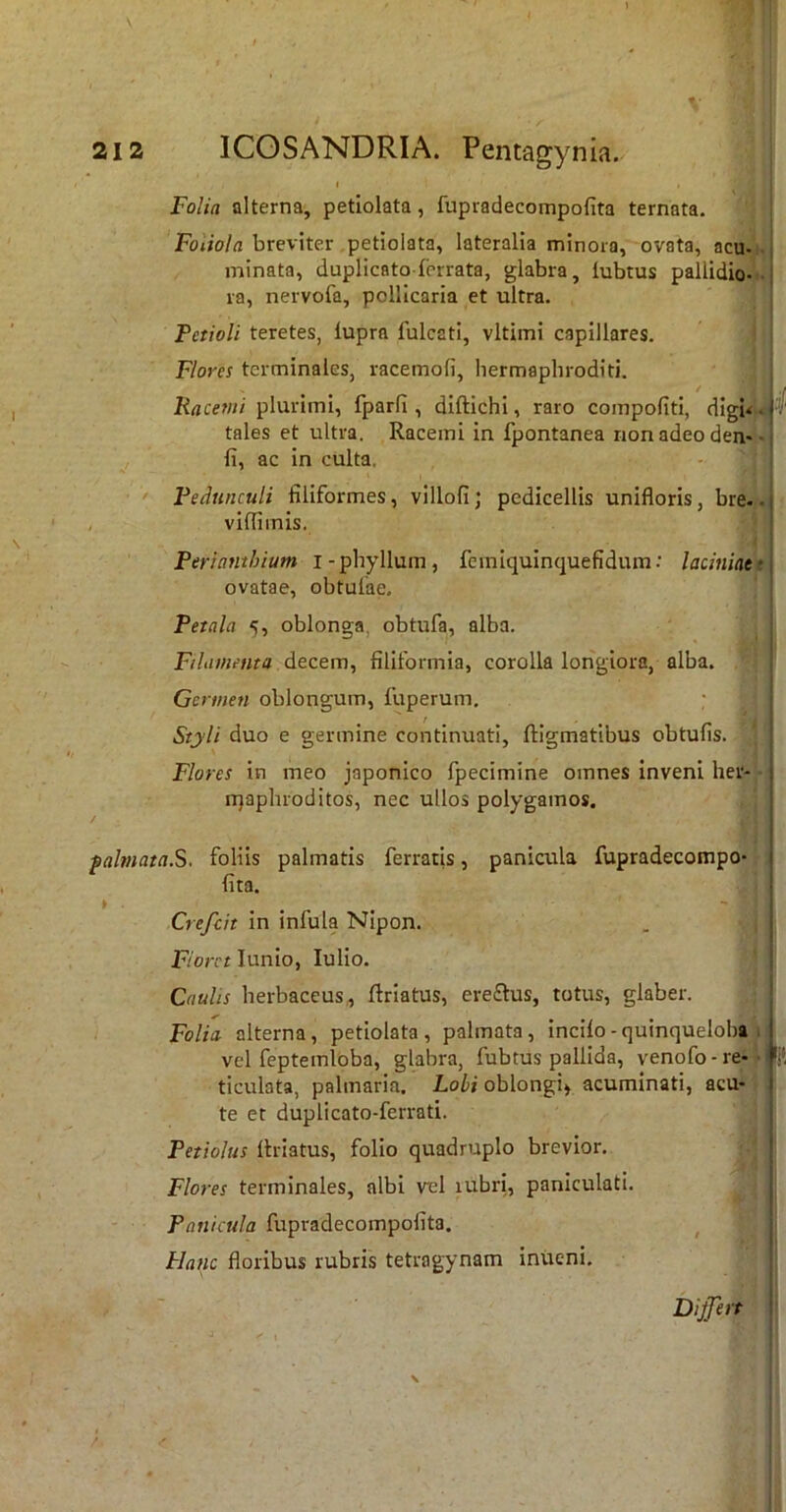 I Folia alterna, petiolata, fupradecompofita ternata. Fo*;o/rt breviter petiolata, lateralia minora, ovata, acu-i. minata, duplicatoferrata, glabra, lubtus pallidio-'- ra, nervofa, pollicaria et ultra. Petioli teretes, lupra fulcati, vltimi capillares. j Flores terminales, racemofi, hermaphroditi. j Frtcew// plurimi, fparfi, diftichi, raro compofiti, digw • i' tales et ultra. Racemi in fpontanea non adeo den* ■ j 11, ac in culta. 1 ' Pedunculi filiformes, villofi; pedicellis unifloris, bre.. , viffimis. Pertanthium i-phyllum, feiniquinquefidum: laciniatt ovatae, obtulae. Petala 5, oblonga, obtufa, alba. Filamenta decem, filiformia, corolla longiora, alba. Germen oblongum, fuperum. Styli duo e germine continuati, ftigmatibus obtufis. Flores in meo japonico fpecimine omnes Inveni her- njaphroditos, nec ullos polygainos. palmata.S. foliis palmatis ferratis, panicula fupradecompo- fita. Crefcit in infula Nipon. Fiorct lunio, lulio. ' Caulis herbaceus,, ftriatus, ereftus, totus, glaber. Folia, alterna, petiolata, palmata. Incilo - quinqueloha 1 vel fepteinloba, glabra, fubtus pallida, venofo - re* • 'ii ticulata, palmaria. Lobi oblongi^ acuminati, acu- te et duplicato-ferrati. Petiolus llriatus, folio quadruplo brevior. Flores terminales, albi vel lubri, paniculati. Panicula fupradecompofita. Hanc floribus rubris tetragynam inueni. Difert I