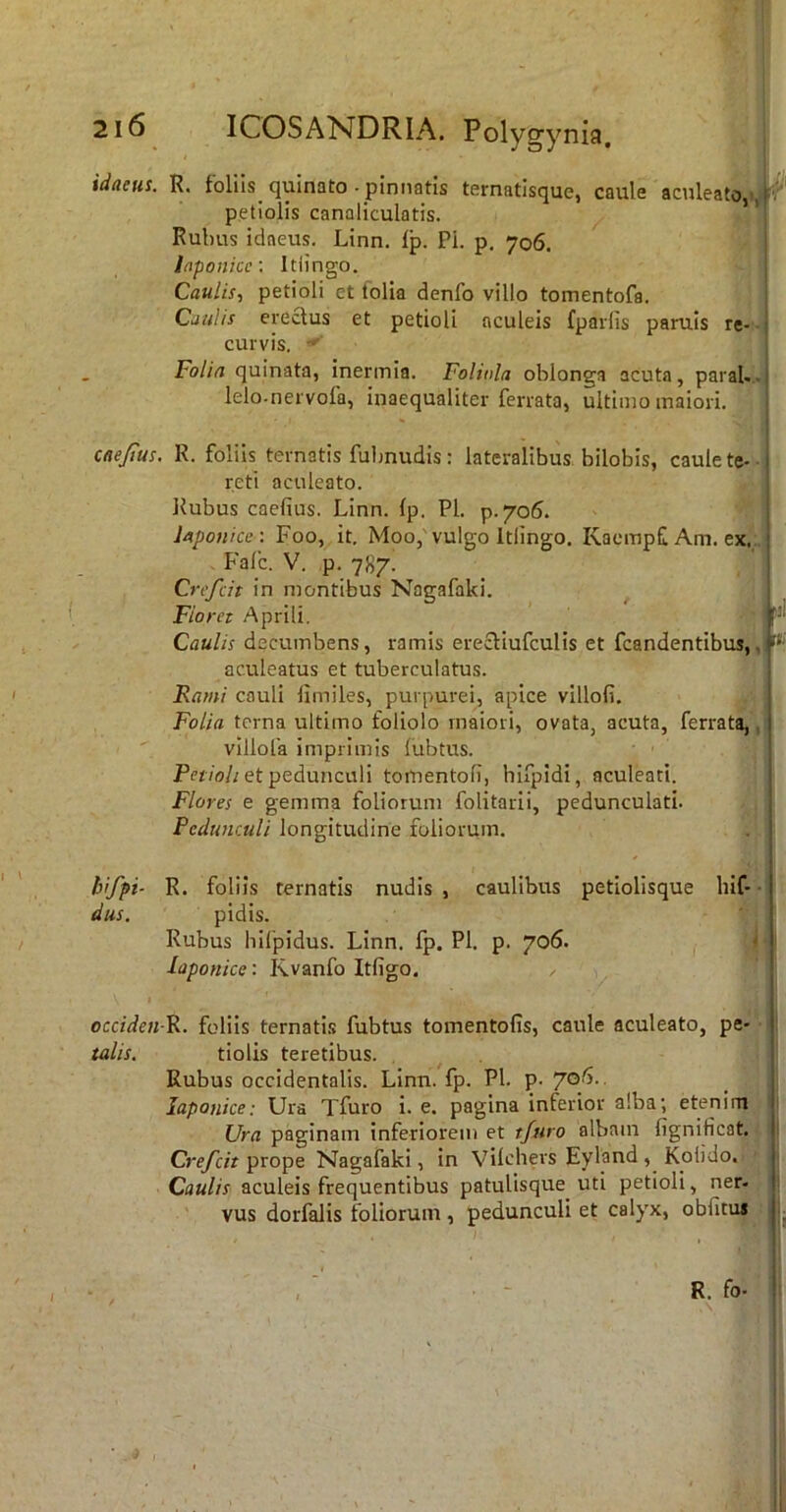 idaetts. R. foliis (juinato • pinnatis ternatisque, caule aculeato, , petiolis canaliculatis. ’ ’ Rulms idaeus, Linn. Ip. Pi. p. 706. Inponicc: Itlingo. Caulis-, petioli et folia denfo villo tomentofa. Caulis erectus et petioli aculeis fparlis paruls re- ' curvis. - Folia quinata, inermia. Foliola oblonga acuta, paraU.. i lelo-nervofa, inaequaliter ferrata, ultimo maiori. i caejtus. R. foliis ternatis fulmudis: lateralibus, bilobis, caule te- i reti aculeato. Rubus caefius. Linn. Ip. Pl. p.706. ; Japonice: Foo, it. Moo,'vulgo Itlingo. Kaompf Am. ex. j . Fafc. V. p. 7}>7. ! Crefeit in montibus Nagafaki. Floret Aprili. Il- Caulis decumbens, ramis ereftiufculis et fcandentibus,, aculeatus et tuberculatus. i Rami cauli limiles, purpurei, apice villofi. Folia torna ultimo foliolo maiori, ovata, acuta, ferrata,, vlllofa imprimis liibtus. Pe//0//et pedunculi tomentofi, hlfpidi, aculeati. Flores e gemma foliorum folitarii, pedunculati. Pedunculi longitudine foliorum. bifpi- R. foliis ternatis nudis , caulibus petiolisque hif- • dus. pidis. Rubus hifpidus. Linn. fp. Pl. p. 706. iaponice: Kvanfo Itfigo. ^ occidenR. foliis ternatis fubtus tomentofis, caule aculeato, pe- ! talis. tiolis teretibus. ^ . I Rubus occidentalis. Linn. fp. Pl. p. 706.. Japonice: Ura Tfuro i. e. pagina inferior alba; etenim i Ura paginam inferloreiii et tfjiro albam fignificat. 1 Crefeit Nagafaki, in Vilchers Eyland, Kolido. Caulis aculeis frequentibus patulisque uti petioli, ner- vus dorfalis foliorum , pedunculi et calyx, oblitus ij , ■ . - . R. fo- !