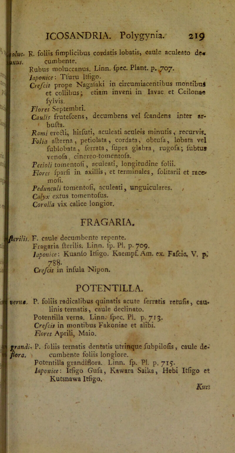 oluc- K. foliis fimplicibus covdatis lobatis, oaule aculeato de« ms. cumbente. Rubus moluccanus. Linn. fpec. Piant, p.^07. 'Japonice-, Tfuru Itligo. - . Crefcit prope Nagalaki in circumiaceritibus montibui et collibus; etiam inveni in lavae et Ceilonae fylvis. Floret Septembri. Caulis frutefcens, decumbens vel fcandens inter ar- • buda. ^ . . . ' R.nni erecli, hirfuti, aculeati aculeis minutis, recurvis. Folia aderna, petiolata, cordata, obtufa, lobata vel fublobata , ferrata, fupra glabra, rugofa; fubtus venofa, cinereo-tomentofa. Fetioli tomentofi , aculeati, longitudine folii. Flores fpaifi in axillis, et terminales, folitarii et race« mofi. ' *' ^ Pedunculi tomentod, aculeati, unguiculares. , Calyx extus tomentofus. Corolla vix calice longior. FRAGARIA. rilis. F. caule decumbente repente. Fragaria fterilis. Linn. fp. Pl. p. 709. Japonice: Kuanlo Itligo. Kaempf.Am. ex. Fafeio. V, pj 788. Crefcit in infula Nipon. POTENTILLA. verna. P. follis radicalibus quinatis acute ferratis retufis, cau« linis ternatis, caule declinato, Potentilla verna, Linn.-fpec. Pl, p. 715. Crefcit in montibus Fakoniae et alibi. Floret Aprili, Maio. ^andn P. foliis ternatis dentatis utrinque fubpilolis, caule de- pera. > cumbente foliis longiore. Potentilla grandiflora. Linn. fp. Pl. p. 715:. Japonice: Itligo Gufa, Kawara Saika, Hebi Itligo et Kutsnawa Itligo. ' Kuts