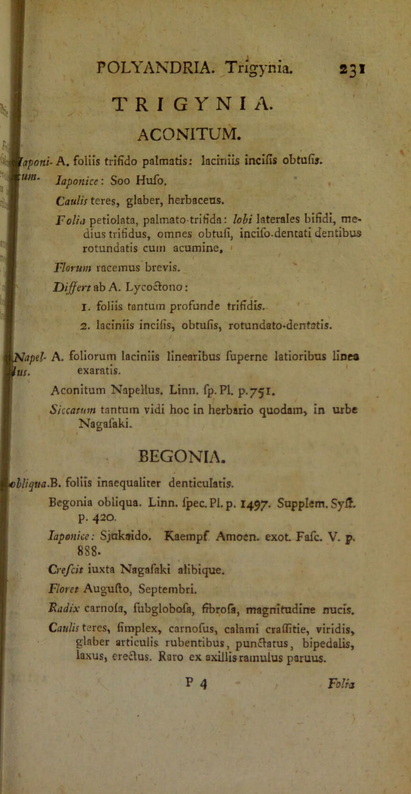 T R I G Y N I A. ACONITUM. aponi- um. ■ A. foliis trifido palmatis: laciniis incifis obtufis. Japonice: Soo Hufo. ' , Caulis teres, glaber, herbacens. Folia petiolata, palmato-trifida; lohi laterales bifidi, me- dius tribdus, omnes obtuli, incifo.dentati dentibus rotundatis cum acumine, ' Florum racemus brevis. Uijfert ab A. Lycoclono: 1. foliis tantum profunde trifidis. ' 2. laciniis incifis, obtufis, rotundato-dentatis. apel- A. foliorum laciniis linearibus fuperne latioribus linea us. exaratis. ' Aconitum Napellus. Linn. fp. Pl. p.751. Siccatum tantum vidi hoc in herbario quodam, in urbe Nagafaki. BEGONIA. lUquaB. foliis inaequaliter denticulatis. Bcgonia obliqua. Linn. fpec. Pl, p. I497. Supplem. Syff- p. 420. Japonice: Sjukaido. Kaempf Amoen. exot Fafc. V. p. 888. Crefcit iuxta Nagafaki alibique. Floret Augufto, Septembri. Radix carnofa, fubglobofa, fibrofa, magnitudine nucis. Caulis teres, fimplex, carnofus, calami craflitie, viridis, glaber articulis rubentibus, pun£latus, bipedalis, laxus, erectus. Raro ex axillis ramulus paruus. P 4 ■* / Folia ) t