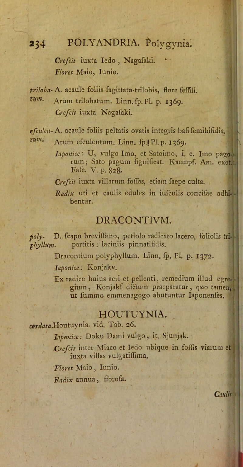 Crefcit iuxta ledo , Nagafaki. Floret Maio, lunio. ] '3 triloha- A. acaule folHs fagittato-trllobis, flore feflili. * tum. trilobatum. Linn. fp. Pl. p. 1369. Crefcit iuxta Nagafaki. efcukn-A. acaule foliis peltatis ovatis integris bafifemibifidis. • j s tum, efculentum. Linn. fp.j Pl. p. 1369. j \ Japonice: U, vulgo Imo, et Satoimo, i. e. Imo pago-k rum; Sato pagum fignificat. Kaempf. Am. exoti. Falc. V. p. 828- I Crefcit iuxta villarum foffas, etiam faepe culta. 1 Radix uti et caulis edules in iufculis concifae adhi-^- bentur. j \ DRACONTIVM. poly- D. fcapo breviflimo, petiolo radicato lacero, foliolis tri- ■ fhyllum. partitis; laciniis pinnatifidis. | Dracontium polyphyllum. Linn. fp. Pl, p.'i372. j Japonice-. Konjakv. j Ex radice huius acri et pellenti, remedium illud egre- • - ' gium, Konjakf dictum praeparatur, quo tamen,l ut fummo emmenagogo abutuntur laponenfes. J HOUTUYNIA. ^ Ij car^flM.Houtuynia. vid. Tab. 26. . | Japonice: Doku Dami vulgo, it. Sjunjak. Crefcit inter Miaco et ledo ubique in foflis viarum et iuxta villas vulgatiffima. Floret Maio , lunio. | Radix annua, fibrofa. >