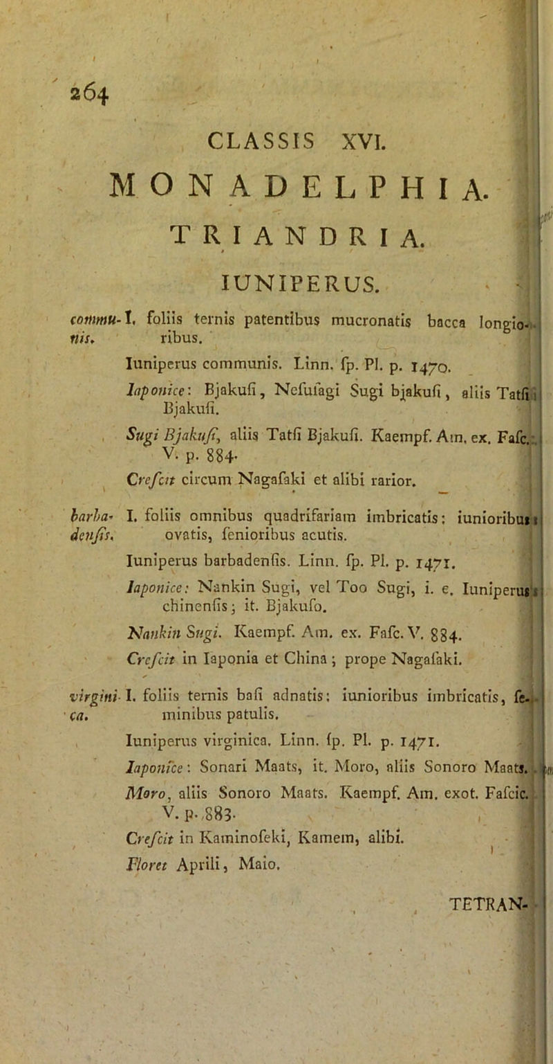 CLASSIS XVI. ' I M O N A D E L P H I A. T R I A N D R I A. 1 t lUNIPERUS. . I (otfimuA, foliis ternis patentibus mucronatis bacca longio-^.! nis, ribus. luniperus communis. LInn. fp. PI. p. 1470. hponice: Bjakufi, Ncfufagi Sugi bjakufi, aliis TalfiA Bjakufi. , Sugi Bjakufi, aliis Tatfi Bjakufi. Kaempf. Atn. ex. Fafc.;. V. p. 8^4. I ^ Crefcit circum Nagafakl et alibi rarior. | I harhar I. foliis omnibus quadrifariam imbricatis: iunioribmij denfis, ovatis, fenioribus acutis. luniperus barbadenfis. Limi. fp. PI. p. 1471. Japonice; Nankln Sugi, vel Too Sugi, i. e. luniperuili chinenfis; it. Bjakufo. NankinSugt. Kaempf. Am. ex. Fafc. V. 884, Crcfcit in laponia et China ; prope Nagafaki. virgini 1. foliis temis bafi adnatis: iunioribus imbricatis, fe-,. ■ ca. minibus patulis, luniperus virginica. Linn. fp. PI. p. 1471. laponice'. Sonari Maats, it. Moro, aliis Sonoro Maatj.. n, Moro, aliis Sonoro Maats. Kaempf. Am. exot. Fafcic. V. p.,883- I ' Crefcit in Kaminofeki, Kamem, alibi. ^ • Floret Aprili, Malo, TETRAN- • i ■I