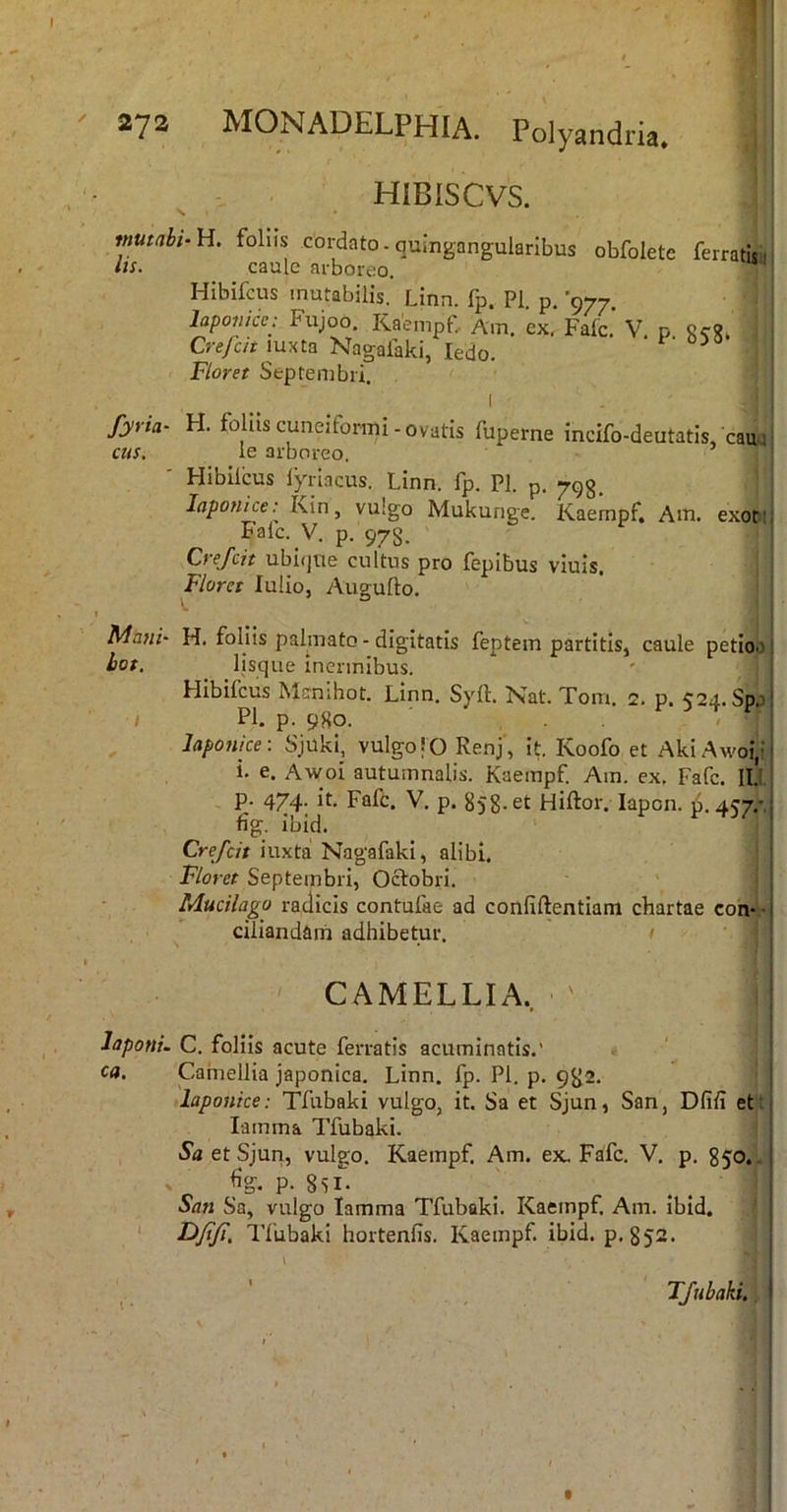 HiBlSCVS. mutabi- H. foliis cordato. quingangularibus obfolete lis. caule arboreo. * Hibifeus mutabilis. Linn. fp. Pl. p. '977. laponiccj Fujoo. Kaempf, Aiu. ex, Falc. V p Crefeit luxta Nagaiaki, ledo. Floret Septembri. I ferratis ii i fyria- H. foliis cuneiformi - ovatis fuperne incifo-deutatis, caua' cus. ie arboreo. Hibilcus fyriacus. Linn. fp. PI. p. 7gg, laponice: Kin, vulgo Mukunge. Kaempf. Am. exot! 1 Falc. V. p. 97g. Crefeit ubique cultus pro fepibus vinis. Floret lulio, Augufto. Mani' H. foliis palmato - digitatis feptem partitis, caule petioo 1 bot. lisque inermibus. ' j Hibifeus Msrnihot. Linn. Syfl. Nat. Tom. 2. p. 524. Sp.3 / Pl. p. 980. Japonice: Sjuki, vulgo|0 Renj, it Koofo et AkiAwoi,! i. e. Awoi autumnalis. Kaempf Am. ex, Fafc. ILI. p. 474. it Fafc. V. p. 858. et Hiftor. lapon. p.457.'. %. ibid. Crefeit iuxta Nagafaki, alibi. Floret Septembri, Oftobri. Mucilago radicis contufae ad confiftentiam chartae con- ■ ciliandarn adhibetur. CAMELLIA, ' laponi. C. foliis acute ferratis acuminatis.’ ; c«. Camellia Japonica. Linn. fp. Pl. p, 9^2, Japonice: Tfubaki vulgo, it Sa et Sjun, San, Dfiii ett lamma Tfubaki. Sa et Sjun, vulgo. Kaempf. Am. ex. Fafc. V. p. 850.. ^ . %. P- 8si. San Sa, vulgo lamma Tfubaki. Kaempf. Am. ibid. ' Tlubaki hortenfis. Kaempf. ibid. p. 852. Tfubaki,