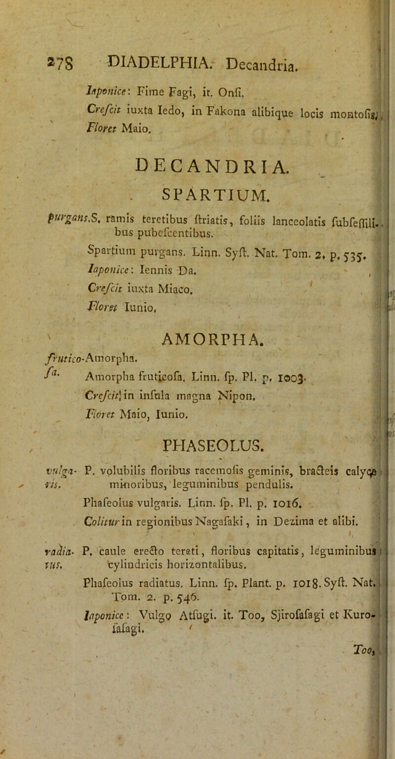 Liponice: Fime Fagi, it. Onfi. Crefcit iuxta ledo, in Fakona alibique locis moHtoligj. Flom Maio, DECANDRIA. SPARTIUM. puvjrans.S. ramis teretibus ftriatis, foliis lanceolatls fubfelTiU.. bus pubefcentibus. Spartium purgans. Linn. Syll:. Nat. Tom, 2, p, 535. lapotiice: lennis Da, , Crefcit iuxta Miaco, * Floret lunio, AMORPHA. ^/r«f/co-Amorpha. Amorpha fruticofa. Linn. fp. Pl. p, ioo3- Crcfcit\'m infula magna Nipon, Floret Maio, lunio. PPIASEOLUS. vuiga- P. volubilis floribus racemolis geminis, brafleis calycva!' iis. minoribus, leguminibus pendulis. Pliafeolus vulgaris. Linn. fp. Pl. p. 1016. Co//r«r in regionibus Nagafaki, in Dezima et alibi. ^ raiia- P, caule ere£lo tereti, floribus capitatis, leguminibus 1 tm, fcyliudricis horizontalibus. Pliafeolus radiatus. Linn. fp. Piant, p. lOiS.Syft, Nat. Tpm, 2. p. 546. liiponicc-. VulgQ Atfugi. it. Too, Sjirofafagi et Kuro- iafagi. I TooA