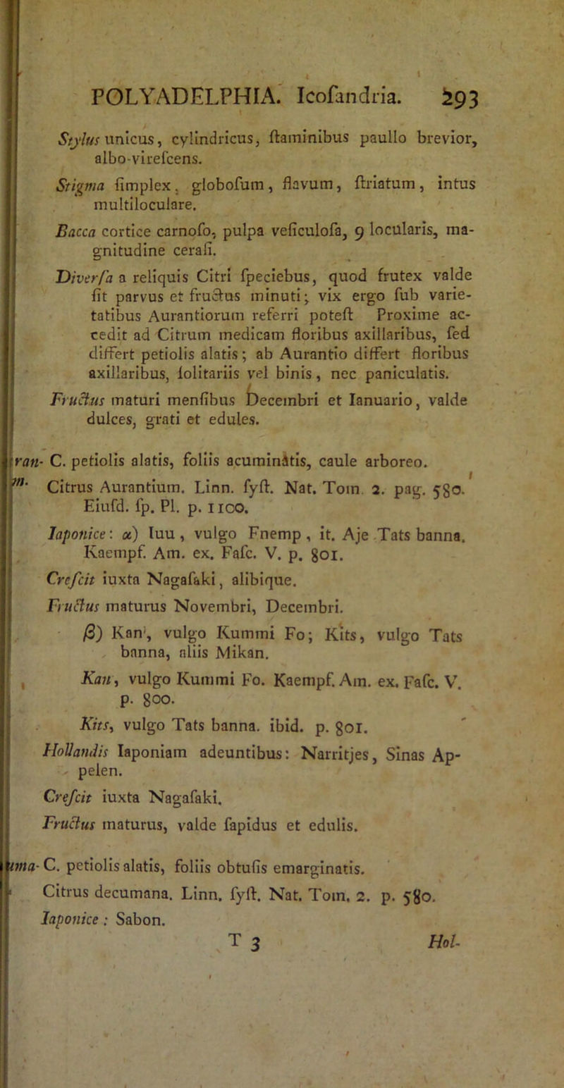 - POLYADELPHIA. Icofandria. ^93 unicus, cylindricus, flaminibus paullo brevior, albo-virefcens. Stigma fimplex, globofum, flavum, flrlatum, intus multiloculare. Bacca cortice carnofo, pulpa veficulofa, 9 locularis, ma- gnitudine cerali. Divcr/a a reliquis Citri fpeciebus, quod frutex valde fit parvus et fructus minuti; vix ergo fub varie- tatibus Aurantiorum referri potefl Proxime ac- cedit ad Citrum medicam floribus axillaribus, fed differt petiolis alatis; ab Aurantio differt floribus axillaribus, folitariis vel binis, nec paniculatis. Frumas maturi menfibus becembri et lanuario, valde dulces, grati et edules. C. petiolis alatis, follis acurainitis, caule arboreo. Citrus Aurantium. Linn. fyfl. Nat. Tom. 2. pag. 580. Eiufd. fp. Pl, p. 1100. laponke. oc) luu, vulgo Fnemp, it. Aje Tats banna. Kaempf Am. ex. Fafc. V. p. goi. Crefcit iuxta Nagafaki, alibique. FiuBus maturus Novembri, Decembri. fi) Kan*, vulgo Kummi Fo; Kits, vulgo Tats , banna, aliis Mikan. JCa;;, vulgo Kummi Fo. Kaempf. Am. ex. Fafc. V. p. 800. Kits, vulgo Tats banna. ibid. p. gOl. HoUatuiis laponiam adeuntibus: Narrltjes, Sinas Ap- ^ pelen. Crefcit iuxta Nagafaki. Fructus maturus, valde fapidus et edulis. ma- C. petiolis alatis, foliis obtufis emarginatis. Citrus decumana. Linn. fyll. Nat. Tom. 2. p. 580. laponke: Sabon.