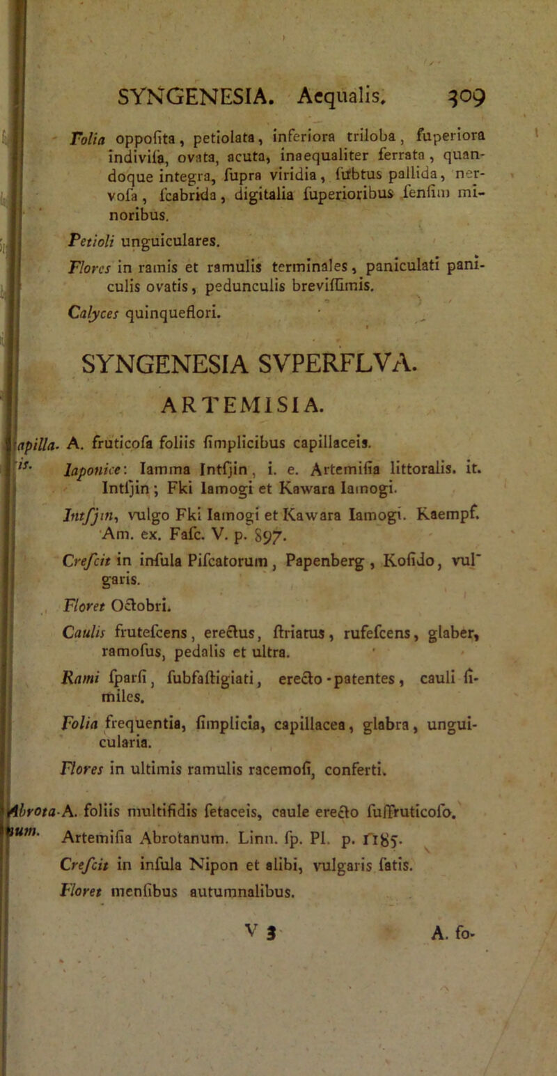 ■ Folia oppofita, petiolata, inferiora triloba, fuperiora mdivila, ovata, acuta, inaequaliter ferrata , quan- doque integra, fupra viridia, ftfbtus pallida, ner- vofa , fcabrida , digitalia fuperioribus /enlini mi- noribus. i Petioli unguiculares. < Flores in ramis et ramulis terminales, paniculati pani- culis ovatis, pedunculis brevilfimis. Calyces quinqueflori. t b SYNGENESIA SVPERFLVA. ARTEMISIA. . A. fruticofa foliis fimplicibus capillaceis. laponice’. lamma Intljin, i. e. Artemifia litteralis, it. Intljin ; Fki lamogi et Kawara lamogi. Intfjin, \oilgo Fki lamogi et Kawara lamogi. Raempf. •Am. ex. Fafc. V. p. 897. Crefeit in infula Pifcatorum, Papenberg , Kofido, vul' garis. Floret 0£lobri. Caulis frutefeens, erectus, ftriatus, rufefeens, glaber, ramofus, pedalis et ultra. fparfi, fubfaftigiati, erecto-patentes , cauli fi- miles. Folia frequentia, fiinplicla, capillacea, glabra, ungui- cularia. Flores in ultimis ramulis racemofi, conferti. ■A. foliis multifidis fetaceis, caule erecto fuffruticofo. Artemifia Abrotanum. Linn. fp. Pl, p. ri85. ^ Crefeit in infula Nipon et alibi, vulgaris fatis. Floret menfibus autumnalibus.