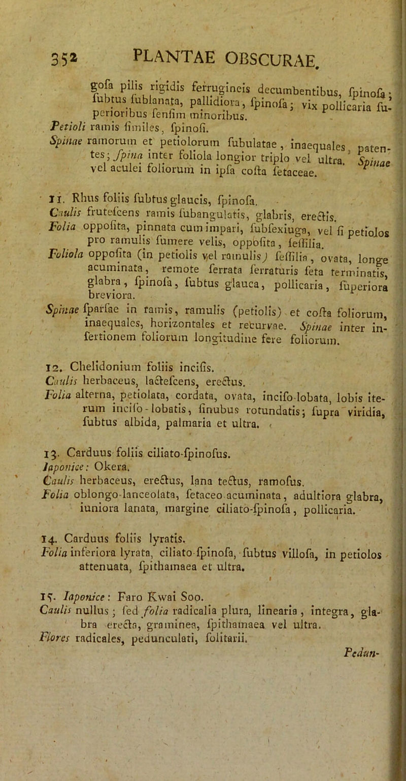 gofa pihs rigidis ferrugineis decumbentibus, fpinoCi- fubtus iublanata, pallidiora, fpinoikj vix pollicaria fu’ penoribus feniim minoribus. Petioli ramis limiles, fpinofi. Spinae ramorum et petiolorum fubulatae, inaequales paten- tes ■,/pnin mter foliola longior triplo vel ultra.’ Spinae \cl dculci loliorum in ipfii coAa fctoceao. - II. Rhus foliis fubtus glaucis, fpinofa. Ciulis frutefcens ramis liibangulatis, glabris, erectis. Folia oppofita, pinnata cum impari, fubfexiuga, vel fi petioJos pro ramulis fumere velis, oppbfita, lelfilia. Foliola oppofita (in petiolis v,el ramulisj felfilin , ovata, longe acuminata, remote ferrata ferraturis feta terminatis glabra, fpinofa, fubtus glauca, pollicaria, fuperiora breviora. V«aefparfae in ramis, ramulis (petiolis) et cofta foliorum, inaequales, horizontales et refcurvae. Spinae inter in- fertionem foliorum longitudine fere foliorum. 12. Chelidonium foliis incifis. Ciiulis herbaceus, lactefcens, ereflus. Folia alterna, petiolaca, cordata, ovata, incifo-lobata, lobis ite- rum incilo - lobatis, finubus rotundatis j fupra viridia, fubtus albida, palmaria et ultra. < 13. Carduus foliis ciliato-fpinofus. Japonice: Okera. Caulis herbaceus, ere£lus, lana teftus, ramofus. Folia oblongo lanceolata, fetaceo acuminata, adultiora glabra, iuniora lanata, margine dliato-fpinofa, pollicaria. 14. Carduus foliis lyratis. Fo//« inferiora lyratn, ciliato fpinofa, fubtus villofa, in petiolos attenuata, fpithamaea et ultra. IS. Japonice: Faro Kwai Soo. Caa//r nullus; fedradicalia plura, linearia, integra, gla- bra erecla, graminea, fpithamaea vel ultra. Fiores radicales, pedunculari, folitarii. Pedan-