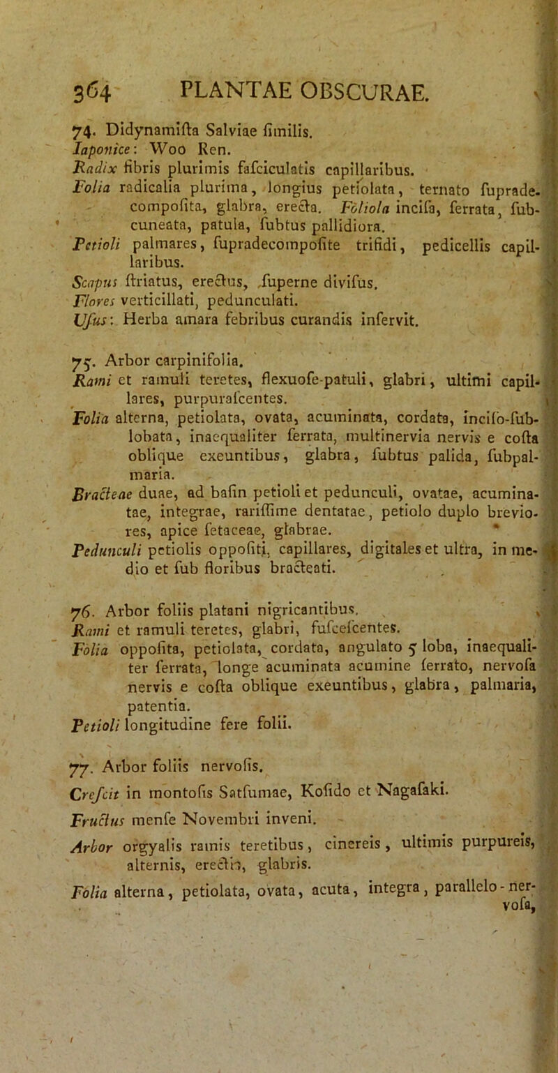 74. Didynamifta Salviae fimilis. Japonice: Woo Ren. Hadix fibris plurimis fafciculatis capillaribus. Folia radicalia plurima, longius petfolata, ternato fuprade. ‘ compofita, glabra, erecta. incifa, ferrata, fub- ' cuneata, patula, fubtus pallidiora. Petioli palmares, fupradecompofite trifidi, pedicellis capil- ; laribus. i Scapus ftriatus, erectus, Juperne divifus, > Flores verticillati, pedunculati. .'I Ufus: Herba amara febribus curandis infervit. ; 75;. Arbor carpinifolia. Rami et ramuli teretes, flexuofe-patuli, glabri, ultimi capil»^ lares, purpurafcentes. I Folia alterna, petiolata, ovata, acuminata, cordata, incilb-fub- lobata, inaequaliter ferrata, multinervia nervis e colla ^ oblique exeuntibus, glabra, fubtus palida, fubpal- ' maria. Bracteae duae, ad bafin petioli et pedunculi, ovatae, acumina- tae, integrae, rariffime dentatae, petiolo duplo brevio- | res, apice fetaceae, glabrae. • f Perf«MC«//petiolis oppofiti, capillares, digitales et ultra, in me-® dio et fub floribus bracteati. ' ^ -I 76. Arbor foliis piatam nigricantibus. , | Rami et ramuli teretes, glabri, fufcelcentes. ^ ^ < Folia oppofita, petiolata, cordata, angulato 5 loba, inaequali- ^ ter ferrata, longe'acuminata acumine ferrato, nervofa J nervis e cofla oblique exeuntibus, glabra, palmaria, i patentia. ■? Petioli longitudine fere folii. \ 77. Arbor foliis nervofis. v: Crejeit in montofis Satfumae, Kofido et Nagafaki. Fructus menfe Novembri inveni. » Arbor orgyalis ramis teretibus, cinereis , ultimis purpureis, alternis, erecth, glabris. ^ Folia alterna, petiolata, ovata, acuta, integra, parallelo-ner- ; vofa,