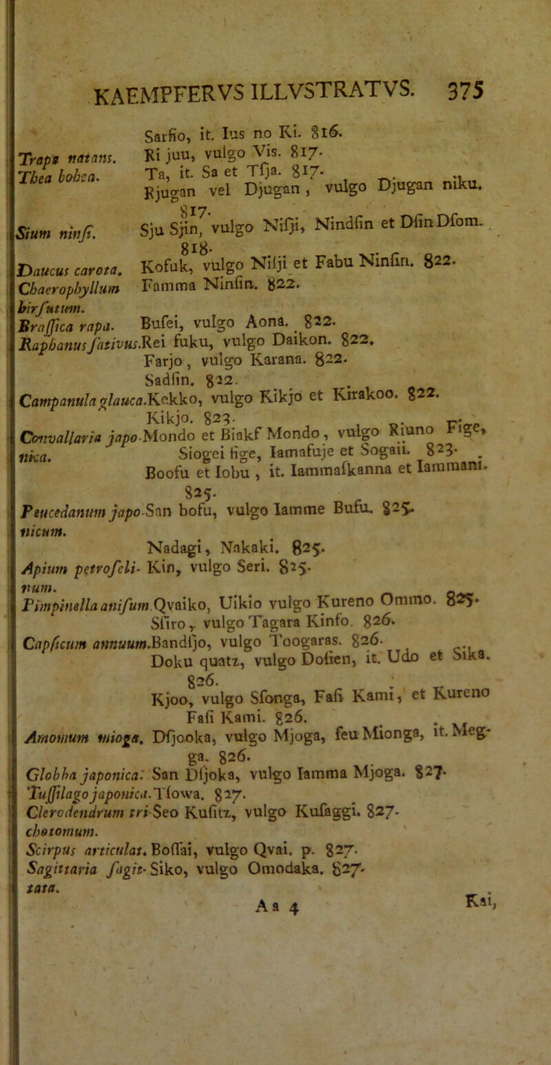 1 KAEMPFERVSILLV5TRATVS. 375 Sarfio, it. Ius no Ri. 8i5. Trapt tunam. Ri juu, vulgo Vis. 817* Tbea bohca. Ta, it. Sa et Tfja. 817. I^jugan vel Djugan, vulgo Djugan niku. Sium nififi. SjU Sjin, vulgo Nifji, Nindfin et DfinDfom., 818 Daucm carota. Kofak, vulgo NiljUt Fabu NinEu. »22. Chaerophyllutn Famma Nlnfiu. 822. hirfutitm. Brajfua rapa. Bufei, vulgo Aona. _ g22. RaphanusfativusRtv fuku, vulgo Daikon. g22. Farjo, vulgo Rarana. 822. Sadfin. g22. Campanula^lauca.K^kVo, vulgo Kikjo et Rirakoo. g22. Rikjo. g2?. Omvallaria japo Mondo et Biakf Mondo, vulgo Riuno i-ige, fi^a. Siogei fige, lamafuje et Sogau. 823. ^ Boofu et lobu , it. lammafkanna et laiumam. 825- . Peucedanum japo Ss\n bofu, vulgo lamme Bufu, §25^ nicnin. Nadagi, Nakaki. 825* Apium petvofeli- Kin, vulgo Seri. 825. num. _ _ Fiinpitisllaanifum Qvaiko, Uikio vulgo Rureno Ommo, 82>. Sfiro,. vulgo Tagara Rinfo. 826. Capficum flHBaaw.Bandljo, vulgo Toogaras. 826- Doku quatx, vulgo Dolien, it. Udo et Sika. 826. j Rjoo, vulgo Sfouga, Faft Kami,* et Rureno Fafi Rami. 826. ' _ . Amomum miogtt. IXjooka, vulgo Mjoga, feuMionga, it. Meg- ga. 826. Globha japonicaySan Dijoka, vulgo lamma Mjoga. 827- 'Puffilagojaponica.Tiowai. 827. Clerodendrum m' $eo Rufitz, vulgo Kufaggi. g27- chotomum. ' Scirpus articulat. BoflTai, vulgo Qvai. p. 827. Sagittaria /<igre-Siko, vulgo Omodaka. 82/' tata. Rai,