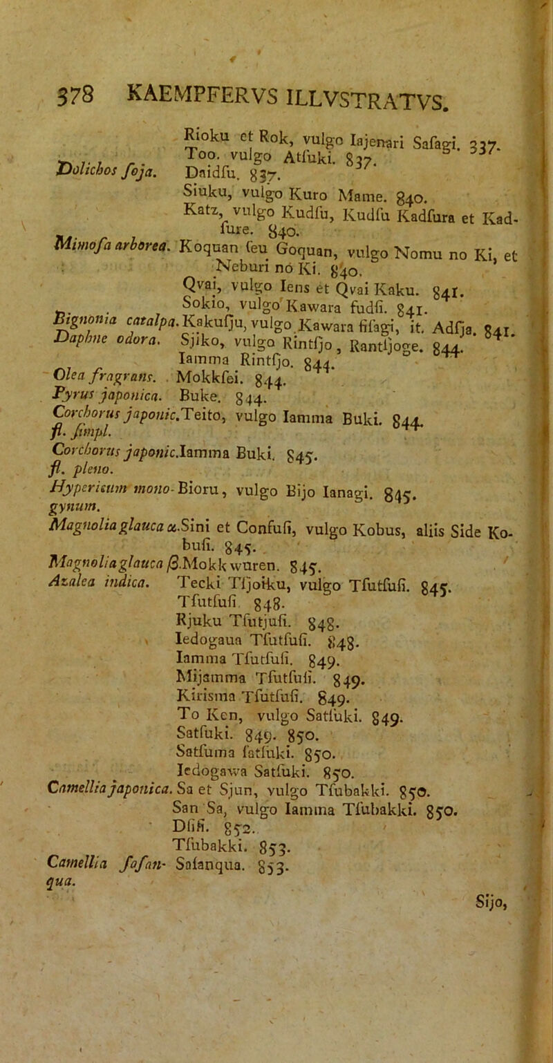 Rioku et Rok, vulgo lajenari Safagi. 337. /■ / r Atfuki. 837. Dohchos foja. Daidfu. 837. Siuku, vulgo Kuro Mame. 840. Katz vulgo Kudfu, Kudfu Kadfura et Kad- fure. 840. Mimofiarima. Koqnan feu Goqnan, vulgo Nomu no Ki. et Neburi no Ki. Qvaj, vulgo Iens et Qvai Kaku. 841. Sokio, vulgo'Kawara fudfi. 841. ^gnoma c^a.Kakulju, vulgo.Kawara fifagi, it. Adfja 841 Daphne odora. Sjiko, vulgo RintQo, Rant^^ge. 844 ^ lamma Rintljo. 844. Olea fragrans. . Mokkfei. 844. Fyrus japonica. Buke. 844- Corchortis japonic.Teito, vulgo lamma Buki. 844, p. JnnpL Corchorus japonic.lamma. Buki. 845» P. pleno. Hyperittim mono Biom., vulgo Bijo lanagi, 845. gynum. ^ Magnalia glauca a.Sm\ et Confufi, vulgo Kobus, aliis Side Ko- bufi. 845- Magnoliaglauca(iMokkvjnxtn. 845. Atalea indica. Tecki Tljoiku, vulgo Tfutfuli. 84?. Tfutfufi 848- Rjuku Tfutjufi. 848- . ledogaua Tfutfufi. 848- lamma Tfutfufi. 849- Mijamma Tfutfufi. 849. Kiiisma Tfutfufi. 849. To Ken, vulgo Satfuki. 849. Satfuki. 849. 850, Satfuma fatluki. 850- Icdogawa Satfuki. 850. CamelUa japonica. Sa et Sjun, vulgo Tfubakki. San^Sa, vulgo lamma Tfubakki. 850. • Dfifi. SSS. Tfubakki. 853. CamelUa fofan- Safanqua. 853. qua.