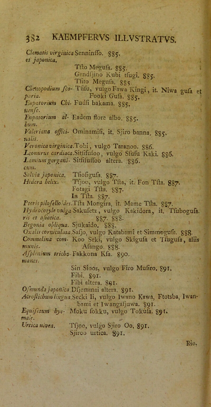 Clematis virginica Senninffo. et' japonka. Tflo Megufa. gSv Gendijino Kubi tfugx. ggj. Tlito Megiifa. gg^, Ch^nopodium fco- Tfifu, vulgo Fawa Kingi, it. Niwa gufa et paria. Fooki Gufa. ggj. ° Eupatorium Chi- Fudfi bakama. gg5. iimfc. Eupatorium al- Eadem flore albo, ggj, Ium. Valeriano, offici- Ominamili, it. Sjiro banrra. ggj, miis. Veronica virginica.Tohi, vulgb Taranoo. gg6. Econurus cardiaca.S\t{\{\.\ioo ^ vulgo Slufu Kaki, 885* Lamitmgargani- Sitfiluflbo altera. ,8g6. cum. Salvia japonka. Tfioflgufa. 887- . Hedera helix. Tfjoo, vulgo Tffta, it. Fon Tfta. 887. Fotagi Tfta. 887. In Tfta. 887. _ ‘ Pterispilofelloides.Tl\a Mongira, it. Mame Tfta. 887. Hydrocotjlevulga Sakaietz.^ vulgo Kakidora, it, Tfubogura. ris et afiatica. ^ gg7. ggg. Begonia ohliejua. Sjukaido. 888- Oxidiscorniculata.Sui^Oj vulgo Katabami et Simmogufa. gg8. Cominelina com- Koo Seki, vulgo Skigufa et Tftigufa, aliis munis. Afango. ggg. Afplenium mcAo-Fakkona Kfa. 890, manes. , Sin Sioos, vulgo Firo Mufiro. 891. Fibi. 891. ' Fibi altera. 891- Ojmtvld.ijaponkaaltera, gpi. Acrofiichum lingua.Secki Ii, vulgo Iwano Kawa, Ftotsba, Iwan- bami et Iwangaljuwa. 891. Equifetmn bye- Moku fokku, vulgo Tokula. 891. male. \ Urtica nivea. Tfjoo, vulgo Sjiro Oo, 891. Sjiroo urtica. 891. Rio,