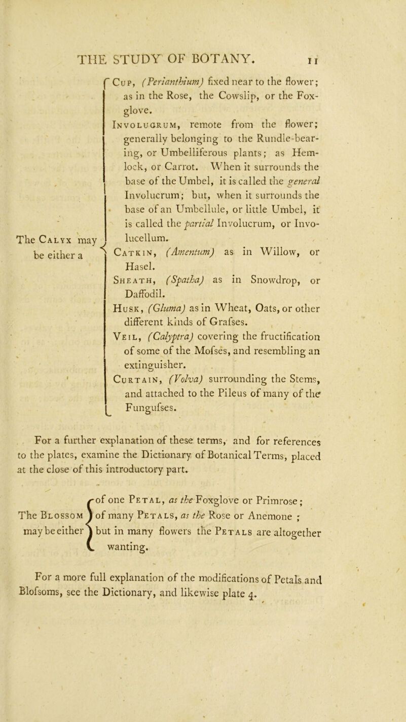 \ The Calyx may be either a I (~ Cup, (Perianthium) fixed near to the flower; as in the Rose, the Cowslip, or the Fox- I • Involugrum, remote from the flower; generally belonging to the Rundle-bear- ing, or Umbelliferous plants; as Hem- lock, or Carrot. When it surrounds the base of the Umbel, it is called the general Involucrum; but, when it surrounds the base of an Umbellule, or little Umbel, it is called the partial Involucrum, or Invo- lucellum. Catkin, (A?nentum) as in Willow, or Hasel. Sheath, (Spatha) as in Snowdrop, or Daffodil. Husk, (Gluma) as in Wheat, Oats, or other different kinds of Grafses. , Veil, (Calyptra) covering the fructification of some of the Mofses, and resembling an extinguisher. Curtain, (Volva) surrounding the Stems, and attached to the Pileus of many of the ^ Fungufses. * For a further explanation of these terms,- and for references to the plates, examine the Dictionary of Botanical Terms, placed at the close of this introductory part. ^of one Petal, as Foxglove or Primrose; The Blossom j of many Petals, as the Rose or Anemone ; maybeeither j but in many flowers the Petals are altogether V. wanting. For a more full explanation of the modifications of Petals and Blofsoms, see the Dictionary, and likewise plate 4.