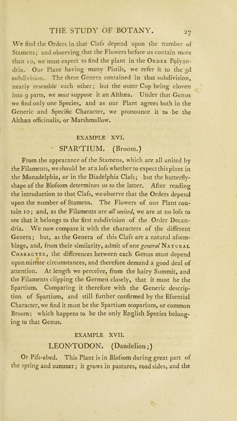 27 Wc find the Orders in that Clafs depend upon the number of Stamens; and observing that the Flowers before us contain more than 10, we must expect to find the plant in the Order Polyan- dria. Our Plant having many Pistils, we refer it to the 3d subdivision. The three Genera contained in that subdivision, nearly resemble each other; but the outer Cup being cloven into 9 parts, we must suppose it an Althsea. Under that Genus we find only one Species, and as our Plant agrees both in the Generic and Specific Character, we pronounce it to be the Althaea officinalis, or Marshmallow. EXAMPLE XVI. SPAR'TIUM. (Broom.) From the appearance of the Stamens, which are all united by the Filaments, we should be at'a lofs whether to expect this plant in the Monadelphia, or in the Diadelphia Clafs; but the butterfly- shape of the Blofsom determines us to the latter. After reading the introduction to that Clafs, we observe that the Orders depend upon the number of Stamens, The Flowers of our Plant con- tain 10; and, as the Filaments are all united^ we are at no lofs to see that it belongs to the first subdivision of the Order Decan- dria. We now compare it with the characters of the different Genera; but, as the Genera of this Clafs are a natural afsem- blage, and, from their similarity, admit of one Natural Character, the differences between each Genus must depend upon minute circumstances, and therefore demand a good deal of attention. At length we perceive, from the hairy Summit, and the Filam.ents clipping the Germen closely, that it must be the Spartium. Comparing it therefore with the Generic descrip- tion of Spartium, and still further confirmed by the Efsential Character, we find it must be the Spartium scoparium, or common Broom; which happens to be the only English Species belong- ing to that Genus. EXAMPLE XVII. LEON'TODON. (Dandelion;) Or Pifs-abed, This Plant is in Blofsom during great part of the spring and summer; it grows in pastures, roadsides, and the I