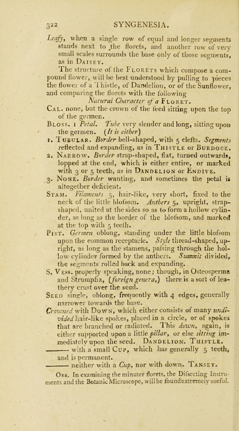 Leafy, when a single row of equal and longer segments stands next to ^the florets, and another row of very small scales surrounds the base only of those segments, as in Daisey. The structure of the Florets which compose a com- pound flower, will be best understood by pulling to pieces the flower of a 1 histle, of Dandelion, or of the Sunflower, and comparing the florets with the following Natural Character of a Floret. Cal. none, but the crown of the feed sitting upon the top of the germen. Bloss. 1 Petal. Tube very slender and long, sitting upon the germen. (// is either) 1. Tubular. bell-shaped, with 5 clefts. Segments reflected and expanding, as in Thistle or Burdock. 2. Narrow. strap-shaped, flat, turned outwards, lopped at the end, which is either entire, or marked with 3 or 5 teeth, as in Dandelion or Endive. 3. None. Border wanting, and sometimes the petal is alto2;ether deficient. Stam. Filaments 5, hair-like, very short, fixed to the neck of the little blofsom. Anthers 5, upright, strap- shaped, united at the sides so as to form a hollow cylin- der, as long as the border of the blofsom, and marked at the top with 5 teeth. PisT. Germen oblong, standing under the little blofsom upon the common receptacle. Style thread-shaped, up- right, as long as the stamens, pafsing through the hol- low cylinder formed by the anthers. Summit divided, the segments rolled back and expanding. S. Vess. properly speaking, none; though, in Osteosperma and Strumpfia, {foreign genera,) there is a sort of lea- thery crust over the seed. Seed single, oblong, frequently with 4 edges, generally narrower towards the base. Crowned with Down, which either consists of many tindU hair-like spokes, placed in a circle, or of spokes that are branched or radiated. This down, again, is cither supported upon a little pillar, or else sitting im- mediately upon the seed. Dandelion. Thistle. with a small Cup, which has generally 5 teetli, and is permanent. — neither with a Cup, nor with down. Tansey. Obs. In examining the minuter florets, the Difsecting Instru- ments and the Botanic Microscope, will be foundextremeiy useful.