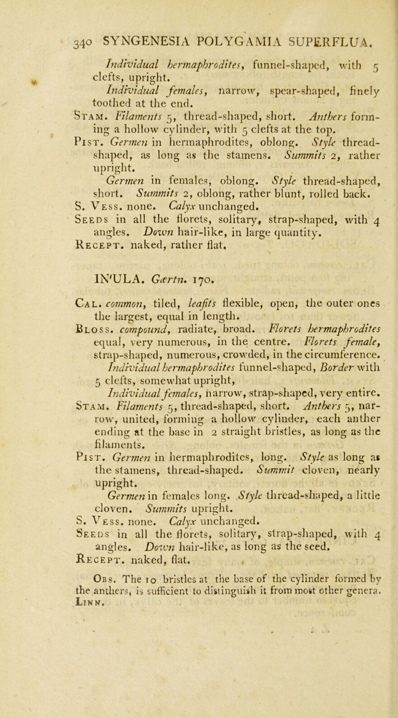 Individual her'tnaphrodites, funnel-shaped, with 5 clefts, upright. Individual females^ narrow, spear-shaped, finely toothed at the end. St AM. Filaments 5, thread-shaped, short. Anthers form- ing a hollow cylinder, with 5 clefts at the top. Pi ST. Germen in hermaphrodites, oblong. Style thread- shaped, as long as the stamens. Summits 2, rather upright. Germen in females, oblong. Style thread-shaped, short. Summits 2, oblong, rather blunt, rolled back. S. Vess. none. G//yTunchanged. 'Seeds in all the florets, solitary, strap-shaped, with 4 angles. Down hair-like, in large quantity. Recept. naked, rather flat, IN'ULA. Gcertn* 170. Cal. common^ tiled, leafits flexible, open, the outer ones the largest, equal in length. Bloss. compoundy radiate, broad. Florets hermaphrodites equal, very numerous. In the centre. Florets female, strap-shaped, numerous, crowded, in the circumference. Individual hermaphrodites funnel-shaped, Border with 5 clefts, somewhat upright, Individual females, narrow, strap-shaped, very entire. Stam. Filaments 5, thread-shaped, short. Anthers 5, nar- row, united, forming a hollow cylinder, each anther ending at the base in 2 straight bristles, as long as the filaments. Pi ST. Germen in hermaphrodites, long. Style as long as the stamens, thread-shaped. Summit cloven, nearly upright. Germen in females long, ftyle thread-shaped, a little cloven. Summits upright. S. Vess. none. Calyx unclianged. Seeds in all the florets, solitary, strap-shaped, with 4 angles. Down hair-like, as long as the seed. Recept. naked, flat. , Obs. The 10 bristles at the base of the cylinder formed by the anthers, is sufficient to distinguish it from most other genera. Linn.