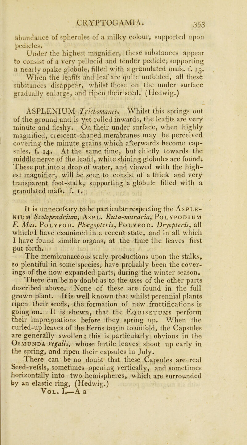 libunclaiice of spherules of a milky colourj supported upon pedicles. Undei' the highest magnifier^ these substances appear to consist of a very pellucid and tender pedicle^ supporting a nearly opake globule, filled with a granulated mafs. f. 13, When the leafits and leaf are quite unfolded, all these substances disappear, whilst those on tiie under surface gradually enlarge, and ripen their seed. (Hedwig.) ASPLENIUM- Irtchomanes* Whilst this spidngs out of the ground and is yet rolled inwards, the leafits are very minute and fleshy. On their under surface, when highly magnified, crescent-shaped membranes may be perceived covering the minute grains which afterwards become cap- sules. fi 14. At the same time, but chiefly towards the middle nerve of the leafit, white shining globules are found. These put into a drop of water, and viewed with the high- est magnifier, will be seen to consist of a thick and very transparent foot-stalk, supporting a globule filled with a granulated mafsi f. i* , It is unnecefsary to be particular respecting the A s p l e- NiUiM Srolopendriuniy Aspl. Ruta-murariay Polyp odium F, Mas, Polypod. Ph<£gopterisy Poly pod. Dryopterisy all which 1 have examined in a recent state, and in all which I have found similar organs^ at the time the leaves first put forth. . . The membranaceous scaly productions upon the stalks, so plentiful in some species, have probably been the cover- ings of the now expanded parts, during the winter season. There can be lio doubt as to the uses of the other parts described above. None of these are found in the full grown plant. It is well known that whilst perennial plants ripen their seeds, the formation of new fructifications is going on. It is shewn, that the Equisetums perform their impregnations before they spring up. When the curled-up leaves of the Ferns begin to unfold, the Capsules are generally swollen; this is particularly obvious in the O SMUNDA regalisy whose fertile leaves shoot up early in the spring, and ripen their capsules in July, There can be no doubt that these Capsules are real Seed-vefsls, sometimes opening vertically, and sometimes horizontally into two hemispheres, which are surrounded by an elastic ring, (Hedwig. VoL. I*—A a