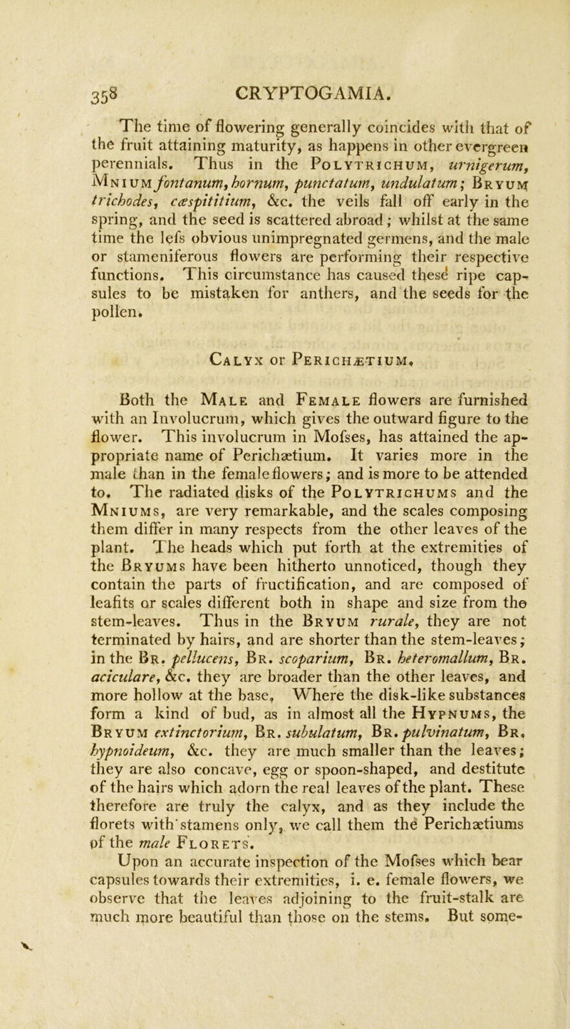 The time of flowering generally coincides witii that of the fruit attaining maturity, as happens in other evergreen perennials. Thus in the Polytrichum, urnigerumy Mnium fontanum,hornum, punctaturn, undulatum; Bryum trichodes, c^espititium, &c. the veils fall off early in the spring, and the seed is scattered abroad; whilst at the same time the lefs obvious unimpregnated germens, and the male or stameniferous flowers are performing their respective functions. This circumstance has caused these ripe cap- sules to be mistaken for anthers, and the seeds for the pollen. Calyx or PERicHiE-xiuM, Both the Male and Female flowers are furnished with an Involucrum, which gives the outward figure to the flower. This involucrum in Mofses, has attained the ap- propriate name of Pcrichaetium. It varies more in the male than in the female flowers,* and is more to be attended to. The radiated disks of the Polvtrighums and the Mniums, are very remarkable, and the scales composing them differ in many respects from the other leaves of the plant. The heads which put forth at the extremities of the Bryums have been hitherto unnoticed, though they contain the parts of fructification, and are composed of leafits or scales different both in shape and size from the stem-leaves. Thus in the Bryum rurale, they are not terminated by hairs, and are shorter than the stem-leaves; in the Br. pellucens, Br. scoparium, Br. heteromallum, Br. aciculare^ &c, they are broader than the other leaves, and more hollow at the base, Where the disk-like substances form a kind of bud, as in almost all the Hypnums, the Bryum extinctoriuniy subulatunif pulvinatum, Br, hypnoideum^ See, they are much smaller than the leaves; they are also concave, egg or spoon-shaped, and destitute of the hairs which adorn the real leaves of the plant. These therefore are truly the calyx, and as they include the florets withstamens only, we call them the Perichaetiums of the ma/e Florets. Upon an accurate inspection of the Mofses which bear capsules towards their extremities, i. e. female flowers, we observe that the leaves adjoining to the fruit-stalk are much more beautiful than those on the stems. But some-