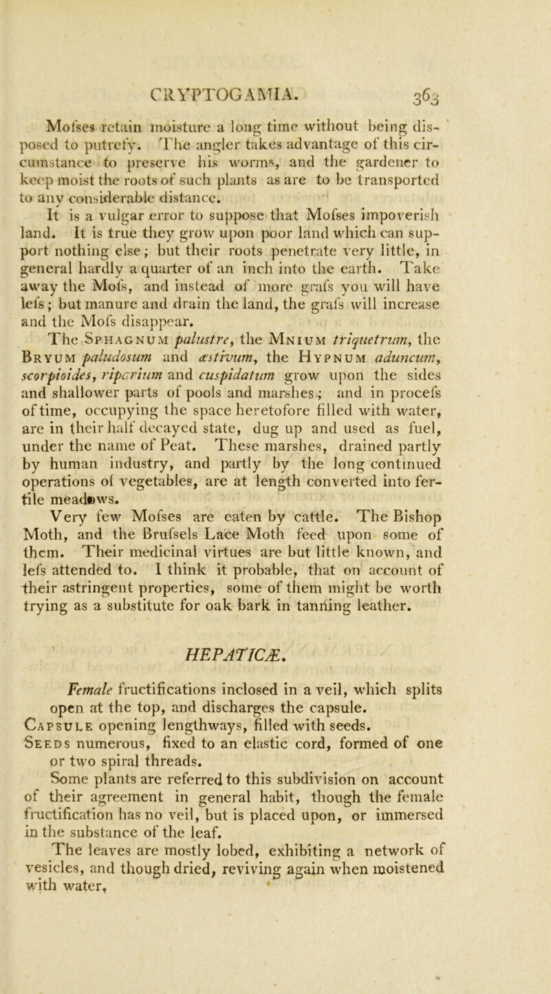 Mofses retain moisture a long time without being dis- posed to putrely. The angler takes advantage of this cir- cumstance to preserve his worms, and the gardener to keep moist the roots of such plants as are to be transported to any considerable distance. It is a vulgar error to suppose that Mofses impoverish ' land. It is true they grow upon poor land which can sup- port nothing else; but their roots penetrate very little, in general hardly a quarter of an inch into the earth. Take away the Mofs, and instead of more gnifs you will have lets; but manure and drain the land, the grafs will increase and the Mofs disappear. The Sphagnum palustre^ the Mnium triquetrum, the Bryum paludosum and (sstivum, the Hypnum aduncum, scorpioides, riparium and cuspidatum grow upon the sides and shallower parts of pools and marshes; and in procefs of time, occupying the space heretofore filled with water, are in their half decayed state, dug up and used as fuel, under the name of Peat. These marshes, drained partly by human industry, and partly by the long continued operations of vegetables, are at length converted into fer- tile meadews. Very few Mofses are eaten by cattle. The Bishop Moth, and the Brufsels Lace Moth feed upon some of them. Their medicinal virtues are but little known, and lefs attended to. I think it probable, that on account of their astringent properties, some of them might be worth trying as a substitute for oak bark in tanning leather. HEPATICM. Female fructifications inclosed in a veil, wdiich splits open at the top, and discharges the capsule. Capsule opening lengthways, filled with seeds. Seeds numerous, fixed to an elastic cord, formed of one or two spiral threads. Some plants are referred to this subdivision on account of their agreement in general habit, though the female fructification has no veil, but is placed upon, or immersed in the substance of the leaf. The leaves are mostly lobed, exhibiting a network of vesicles, and though dried, reviving again when moistened with water,