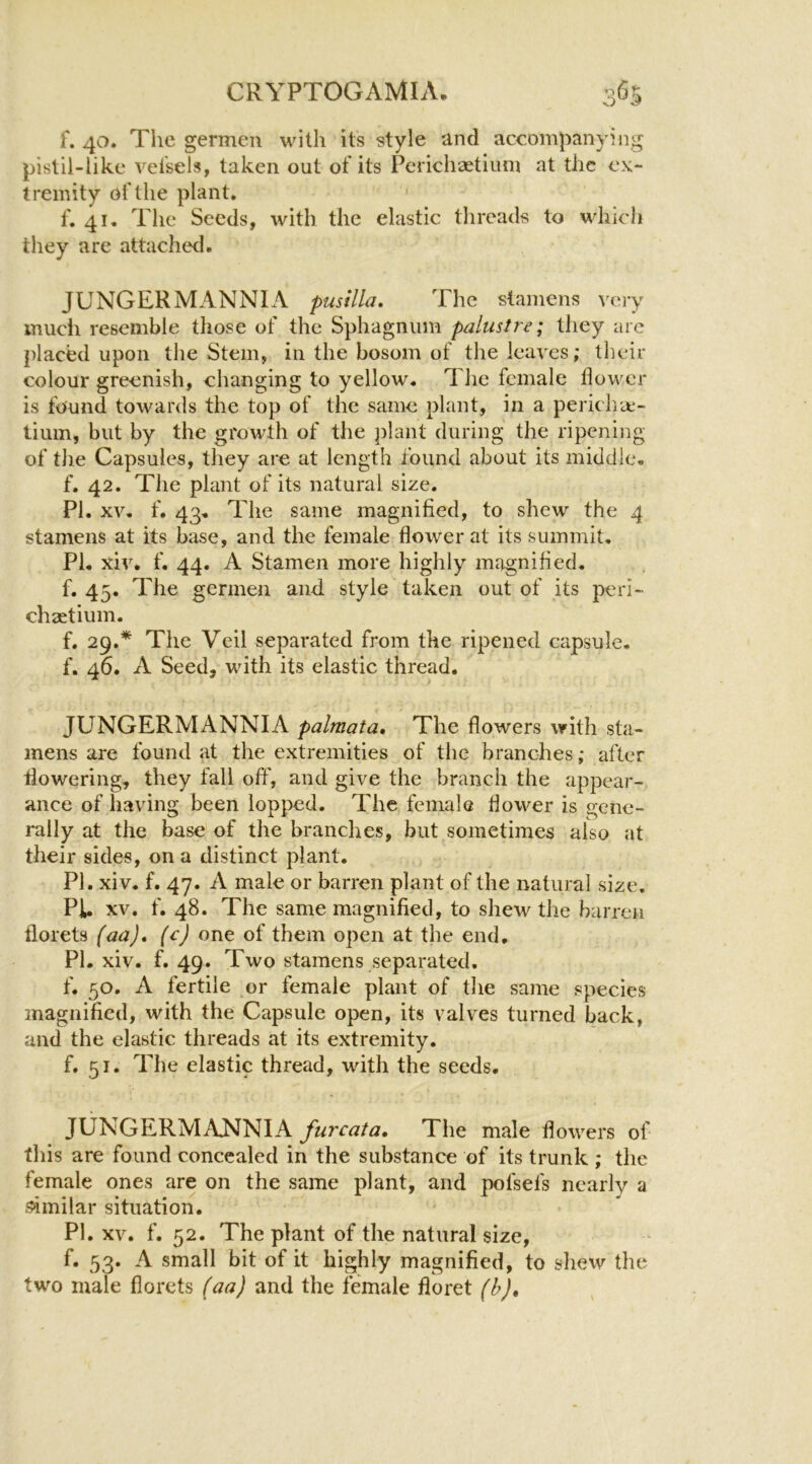 CRYPTOGAMIA. 36r, f. 40. The germen with its style and accompanying pistil-like veisels, taken out of its Pcrichaetium at the ex- tremity of the plant. ' f. 41. The Seeds, with the elastic threads to which they are attached. JUNGERMANNIA pusllla. The stamens very mucii resemble those of the Sphagnum palustre; they arc placed upon the Stem, in the bosom of the leaves; their colour greenish, changing to yellow. The female flower is found towards the top of the same plant, in a pericha;- tium, but by the growth of the plant during the ripening of the Capsules, they are at length found about its middle, f. 42. The plant of its natural size. PI. XV, f. 43, The same magnified, to shew the 4 stamens at its base, and the female flower at its summit, PI, xiv. f. 44. A Stamen more highly magnified, f. 45. The germen and style taken out of its peri- chaetium. f. 29.* The Veil separated from the ripened capsule, f. 46. A Seed, with its elastic thread. JUNGERMANNIA palmata. The flowers with sta- mens are found at the extremities of the branches; after flowering, they fall off, and give the branch the appear- ance of having been lopped. The female flower is gene- rally at the base of the branches, but sometimes also at their sides, on a distinct plant. PI. xiv. f. 47. A male or barren plant of the natural size. PE XV. f. 48. The same magnified, to shew the barren florets (aa), (c) one of them open at the end. PI. xiv. f. 49. Two stamens separated, f. 50. A fertile or female plant of the same species magnified, with the Capsule open, its valves turned back, and the elastic threads at its extremity. f. 51. The elastic thread, with the seeds. JUNGERMANNIA furcata* The male flowers of this are found concealed in the substance of its trunk ; the female ones are on the same plant, and pofsefs nearly a S'imilar situation. PI. XV. f. 52. The plant of the natural size, f. 53. A small bit of it highly magnified, to shew the two male florets (aa) and the female floret (h)»