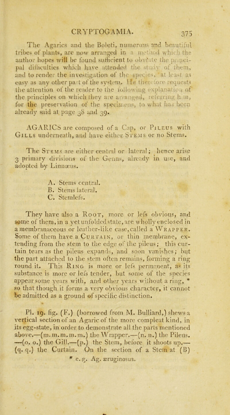 The Agarics and the Boleti, numerous and heautiful tribes of plants, are now arranged in a method \\diich the author hopes will be found sufficient to obvi'ate thp pru^ici- pal difhculties which have attended the study of them, and to render the investigation of the species,, at least as easy as any other pa t of the system. He theretore requests the attention of the reader to the following explanation of the principles on which they are arranged, referring h in, for the preservation of the specimens, to what has been already said at page 38 and 39. AGARICS are composed of a Cap, or Pileus with Gills underneath, and have either Ste.ms or no Stems, I » The Stems are either central or lateral; hence arise 3 primary divisions of the Genus, already in use, and adopted by Linnaeus, A. Stems central, B. Stems lateral, C. Stemlefs, They have also a Root, more or lefs obvious, and some of them, in a yet unfolded state, are wholly enclosed in a membranaceous or leather-like case,called a Wrapper, Some of them have a Curtain, or thin membrane, ex- tending from the stem to the edge of the pileus; this cur- tain tears as the pileus expanrki, and soon vanishes; but the part attached to the stem often remains, forming a ring round it. This Ring is more or lefs permanent, as its substance is more or lefs tender, but some of the species appear some years with, and other years without a ring, * so that though it forms a very obvious character, it cannot be admitted as a ground of specific distinction, PI. 19. fig. (F.) (borrowed from M. Bulliard,) shews a vertical section of an Agaric of the more compleat kind, in its egg-state, in order to demonstrate all the parts mentioned above.—(m.m.m.m.m.) the Wrapper.—(n. n.) the Pileils. —(o. o.) the Gill.—-(p.) the Stem, before it shoots up.— (q. q.) the Curtain. On the section of a Stem at (B) * e. g. Ag, aeruginosas.