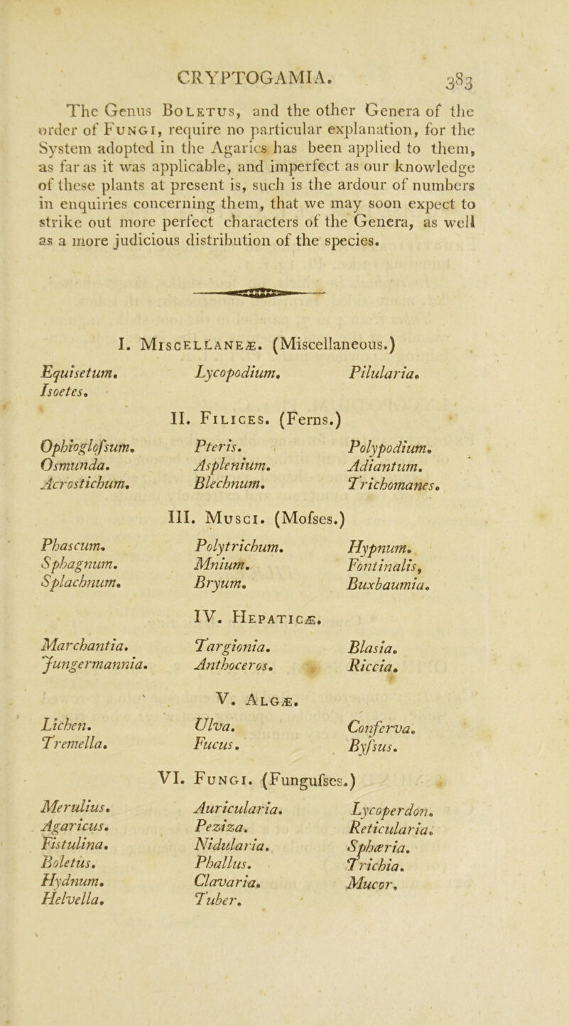 The Genus Boletus, and the other Genera of the order of Fungi, require no particular explanation, for the System adopted in the Agarics has been applied to them, as far as it was applicable, and imperfect as our knowledge of these plants at present is, such is the ardour of numbers in enquiries concerning them, that we may soon expect to strike out more perfect characters of the Genera, as well as a more judicious distribution of the species. I. MiscelHane^. (Miscellaneous.) Equisetum, Isoetes, ' Lycopodium, Pilularia, 11. Filices. (Ferns.) Ophtoglqfsiim, Osmunda, Acrostichum, Eteris, Asplenium, Blechnum, Polypodium, Adiantum, T richomanes III. Musci. (Mofses.) Fhascum* Sphagnum, Splachnum, Poly trichum, Mnium, Bryum, Hypnum, ■ Fontinalis^ Buxbaumia, IV. Hepatic^e. Marchantia, Jungermannia, Targionia, Anthoceros, Blasia, Riccia, ' V V. Alg^. Lichen, Tremella, Ulva, Fucus, Conferva, Byfsus, VI. Fungi. (Fungufses.) MeruUus, Agaricus, Eistulina, Boletus, Hydnum, Helvetia, Auricularia, Peziza, t Nidularia, Phallus, Clavaria, Tduher, Lycoperdon, Retictdaria: Spheeria, Frichia, Mucor,