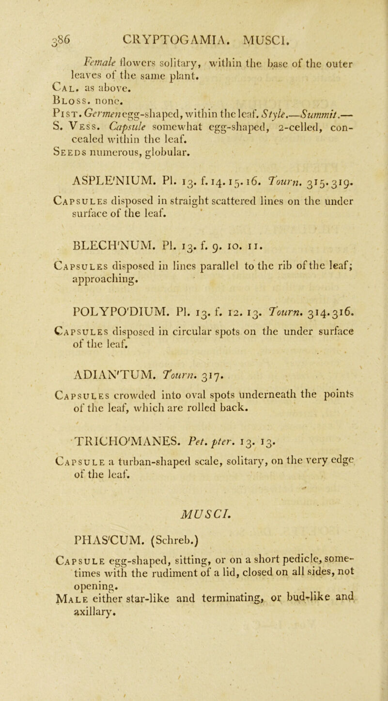 Female llowcrs solitary, within the base of the outer leaves of the same plant. Cal. as above. Bloss. none. ^ Pi ST. egg-shaped, within the leaf. Style.—Summit.— S. Vess. Ceipsule somewhat egg-shaped, 2-celled, con- cealed within the leaf. Seeds numerous, globular. ASPLE'NIUM. PI. 13.^14.15.16. 315.319. \ • Capsules disposed in straight scattered lines on the under suriiace of the leaf. BLECH'NUM. PI. 13. f. 9. 10. ii. Capsules disposed in lines parallel to the rib of the leaf; approaching. POLYPO'DIUM. PI. 13. f. 12. 13. 7'ourn. 314.316. Ca psuLES disposed in circular spots on the under surface of the leaf. ADIAN'TUM. Tourn. 317. Capsules crowded into oval spots underneath the points of the leaf, which are rolled back. ■TRICHO'MANES. Pet. pter. 13. 13. Capsule a turban-shaped scale, solitary, on the very edge of the leaf. MU SC I. PHAS'CUM. (Schreb.) Capsule egg-shaped, sitting, or on a short pedicle, some- times with the rudiment of a lid, closed on all sides, not opening. Male either star-like and terminating, or bud-like and axillary.