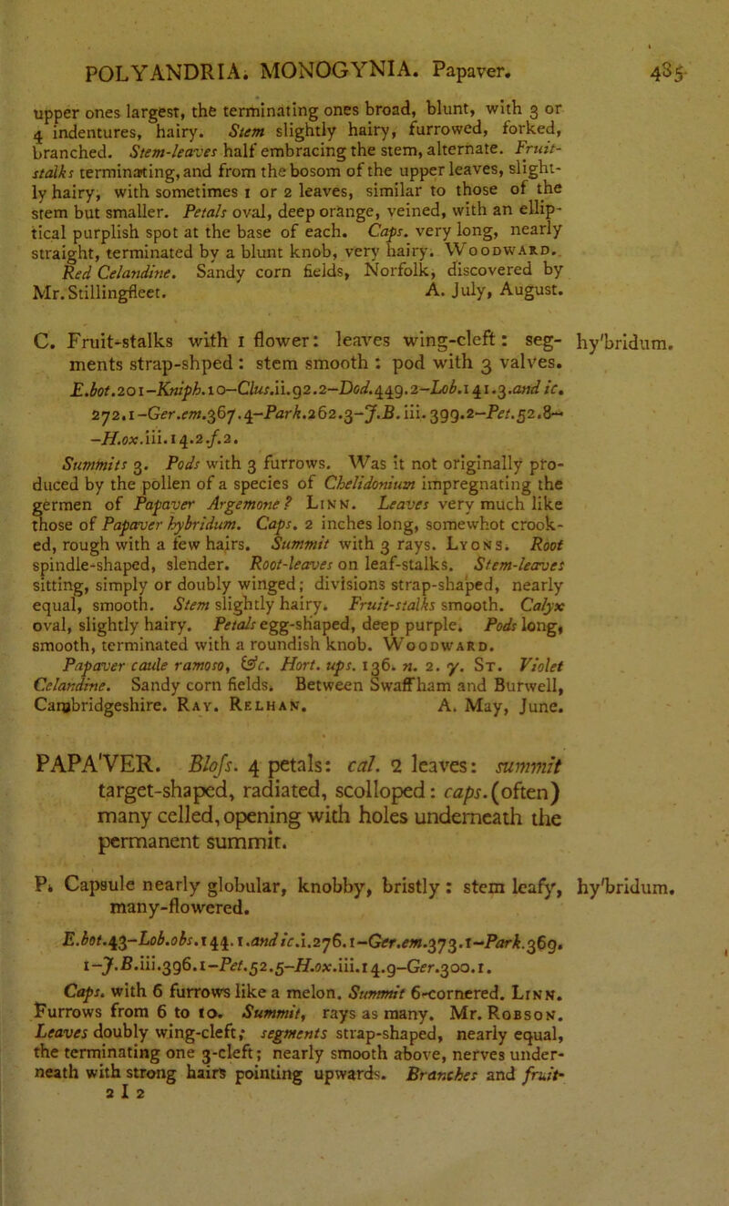 upper ones largest, the terminating ones broad, blunt, with 3 or 4 indentures, hairy. Stem slightly hairy, furrowed, forked, branched. Stem-leaves half embracing the stem, alternate. Fruit- stalks terminating, and from the bosom of the upper leaves, slight- ly hairy, with sometimes j or 2 leaves, similar to those of the stem but smaller. Petals oval, deep orange, veined, with an ellip- tical purplish spot at the base of each. Caps, very long, nearly straight, terminated by a blunt knob, very hairy. W oodward. Red Celandine. Sandy corn fields, Norfolk, discovered by Mr. Stillingfleet. A. July, August. C. Fruit-stalks with 1 flower: leaves wing-cleft: seg- hy'bridum. ments strap-shped : stem smooth : pod with 3 valves. E.bot. 2 o 1 -Kniph. 1 o-Clus.ii. g 2.2-Dod. 449.2-Lob. 141.3 .and ic. 2y2.i-Ger.em.^6j.^-Park.262.^-J.B.ni.^gg.2-Pet.52.Q- -AT.o*. iii. 14.2./. 2. Summits 3. Pods with 3 furrows. Was it not originally pro- duced by the pollen of a species of Chelidonium impregnating the germen of Papaver Argemone? Linn. Leaves very much like those of Papaver hybridum. Caps. 2 inches long, somevvhot crook- ed, rough with a few hairs. Summit with 3 rays. Lyons, Root spindle-shaped, slender. Root-leaves on leaf-stalks. Stem-leaves sitting, simply or doubly winged; divisions strap-shaped, nearly equal, smooth. Stem slightly hairy. Fruit-stalks smooth. Calyx oval, slightly hairy. Petals egg-shaped, deep purple. Pods long, smooth, terminated with a roundish knob. Woodward. Papaver caule ramoso, &c. Hort. ups. 136. n. 2. y. St. Violet Celandine. Sandy corn fields. Between Swaffham and Burwell, Cambridgeshire. Ray. Relhan. A. May, June. PAPA'VER. Blofs. 4 petals: cal. 2 leaves: summit target-shaped, radiated, scolloped: caps.(often) many celled, opening with holes underneath the permanent summit. Pk Capsule nearly globular, knobby, bristly : stem leafy, hy'bridum. many-flowered. E.bot. ^-Lob.obs.i^.t. and ic.1.2^.i-Ger.em.^^.t-Park.^fg. i-J-B.iii-3g6.i-Pet.52.5-H.ox.iii.i ^.g-Ger.300.1. Caps, with 6 furrows like a melon. Summit 6-cornered. Linn. Furrows from 6 to to. Summit, rays as many. Mr. Robson. Leaves doubly wing-cleft; segments strap-shaped, nearly equal, the terminating one 3-cleft; nearly smooth above, nerves under- neath with strong hairs pointing upwards. Branches and fruit- 2 I 2