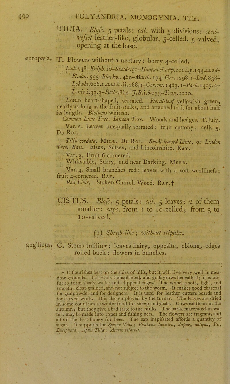 ■TIL'IA. B/ofs. 5 petals: cal. with 5 divisions: seed- vefsel leather-like, globular, 5-celled, 5-valved, opening at the base. europae'a. X. Flowers without a nectary: berry 4-celled. Ludzv.qS-Kjiiph.io-Sbeldr. 50-Hunt.evel.arp.20i.i.p. 1 g^.ed.id- FI.dan. 55^-Blackw. 4.69-Maltb. i'jq-Ger.i2q%.i-Dod. 838- Lob.obs. 606.1 .and ic. ii. 188. j— Ger.em. 1483.1 -Park. 1407.2— Lontc .i.QQ.ol-F'uchs.8$2-J.B .i.b.i Q£-Trag. 1110. Leaves heart-shaped, serrated. Floral-leaf yellowish green, pearly as long as the fruit-stalks, and attached to it for about half its length. Blofsoms whitish. Common Lime Free. Linden Tree. Woods and hedges. T.July. Var. 2. Leaves unequally serrated: fruit cottony: cells e. Du R01. v Till a cor data. MiLt. Du Roi. Small-leaved Lime, or Linden Tree. Bast. Efsex, Sulsex, and Lincolnshire. Ray. Var.3. Fruit 6-cornered. Whitstable, Surry, and near Darking. Merr. Var.4. Small branches red: leaves with a soft woollinefs ; fruit 4-cornered. Ray. Red Lime. Stoken Church Wood. RAY.f CISTUS. B/ofs. 5 petals: cal. 5 leaves; 2 of them smaller: caps, from 1 to 10-celled; from 3 to 10-valved. j \ (x) Shrub-life ; without stipuLe. Sng'licus. C. Stems trailing: leaves hairy, opposite, oblong, edges rolled back : flowers in bunches. f It flourishes best on the sides of hills, but it will live very well in mea- dow grounds. It is easily transplanted, and grafs grows beneath it; it is use- ful to form shady walks and clipped hedges. The wood is soft, light, and smooth ; close grained, and not subject to the worm. It makes good charcoal for gunpowder and for designers. It is used for leather cutters boards and for carved work. It is also employed by the turner. The leaves are dried in some countries as winter food for sheep and goats. Cows eat them in the autumn ; but they give a bad taste to the milk. The bark, macerated in wa- ter, maybe made into ropes and fishing nets. The flowers are fragrant, and afford the best honey for bees. The sap inspifsated affords a quantity of sugar. It supports the Sphinx Tilia ; Phalana lancstris, dispar, antique, Psi, Encephala; Aphis Tilice ; Acarus telarivs.