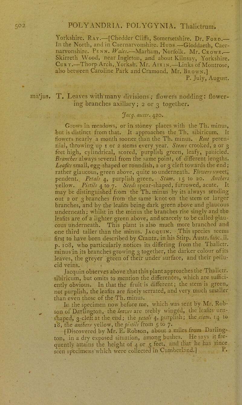 Yorkshire. Ray.—[Chedder Cliffs, Somersetshire. Dr. Ford.— In the North, and in Caernarvonshire. Huds.—Gloddaeth, Caer- narvonshire. Penn. Wales.—Marham, Norfolk. Mr. Crowe.— Skirreth Wood, near Ingleton, and about Kilnsay, Yorkshire. Curt.—Thorp Arch, Yorksh. Mr. Aikin.—Links of Montrose, also between Caroline Park andCramond. Mr. Brown.] , P. July, August. ma'jus. T. Leaves with many divisions ; flowers nodding: flower- ing branches axillary; 2 or 3 together. Jacq. austr. 420. Grows in meadows, or in stoney places with the Th. minus, but is distinct from that. It approaches the Th. sibiricum. It flowers nearly a month sooner than the Th. minus. Root peren- nial, throwing up 1 or 2 stems every year. Stems crooked, 2 or 3 feet high, cylindrical, scored, purplish green, leafy, panicled. Branches always several from the same point, of different lengths. Leafits small, egg-shaped or roundish, 2 or 3 cleft towards the end ; rather glaucous, green above, quite so underneath. Flowers sweet, pendent., Petals 4, purplish green. St am. 15 to 20. Anthers yellow. Pistils 4 to 7. Seeds spear-shaped, furrowed, acute. It may be distinguished from the Th. minus by its always sending out 2 or 3 branches from the same knot on the stem or larger branches, and by the leafits being dark green above and glaucous underneath; whilst in the minus the branches rise singly and the leafits are of a lighter green above, and scarcely to be called glau- cous underneath. This plant is also much more branched and one third taller than the minus. Jacquin. This species seems first to have been described by Crantz, in his Stirp. Austr. fasc. ii. p. 108, who particularly notices its differing from the Thalictr. miuus in its branches growing 3 together, the darker colour ot its leaves, the greyer green of their under surface, and their pellu- cid veins. . » Jacquin observes above that this plant approaches the Thalictr. sibiricum, but omits to mention the differences, which are suffici- ently obvious. In that the fruit is different; the stem is green, not purplish, the leafits are finely serrated, and very much smaller than even those of the Th. minus. In the specimen now before me, which was sent by Mr. Rob- son of Darlington, the leaves are trebly winged, the leafits urn- shaped, 3-cleft at the end; the petals 4, purplish; the slant. 14 to 18, the anthers yellow, the pistils from 5 to 7. [Discovered by Mr. E. Robson, about 2 miles from Darling- ton, in a dry exposed situation, among bushes. He says it fre- quently attains the height of 4 or 5 feet, and that he has since seen specimens'which were collected in Cumberland.] P.