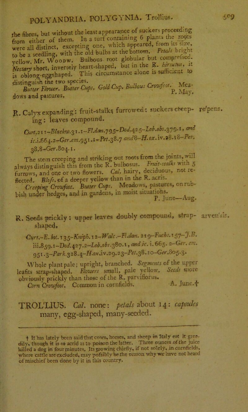 dows and pastures. R. Calyx expanding: fruit-stalk? furrowed: suckers creep- re' 38.8-Ger.804.!. The stem creeping and striking out roots from the joints, will always distinguish this from the R. bulbosus. Fruit-stalks with 5 furrows, and one or two flowers. Cal- hairy, deciduous, not le- fleeted. Bhfs. of a deeper yellow than in the R. acris. Creeping Crowfoot. Butter Cups. _ Meadows, pastures, on rub- bish under hedges, and in gardens, in moist situations. ^ P In rip Ana. R. Seeds prickly : upper leaves doubly compound, strap- shaped. Ctfrt.-E.hot. 1 35-Ktiiph. 12-JFale,—Fl.dati. 21 g— Fuchs. 1 5J—J.B. iu.85Q.1-D0d.42j.2-L0b.06s.38oA , and ic. i. 665. 2-Ger. em. g5i.3-Park.328.4-H.0x.iv.2g.23-Pet.38.io~Ger.805-3. Whole plant pale; upright, branched. Segments of the upper leafits strap-shaped. Flowers small, pale yellow. Seeds mote obviously prickly than those of the R. parviflorus. Corn Crowfoot. Common in cornfields. A. June.i* TROL'LIUS. Cal. none: petals about 14: capsules many, egg-shaped, many-seeded. ■} It has lately been said that cows, horses, and sheep in Italy eat it gree- dily, though it is so acrid as to poison the latter. Three ounces of the juice killed a dog in four minutes. Its growing chiefly, if not solely, in cornfields, where cattle are excluded, may pofsibiy be the reason why we have not heard of mischief been done by it in this country. ing: leaves compound. Curt. 21 i-Blackw.31 .i-Fl.dan icA.664.2-Ger.em.g51.1-P ■Fl.dan.jg5-Dod.425-Loi.obs.3jgA, and \1.1-Pet.38.J and^-H.ox. iv.38.18-Pet.