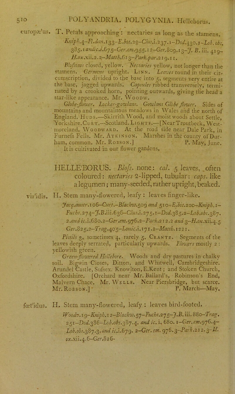 5io europas'us vb'idis. / fcet'idus. POLYANDRIA. POLYGYNIA. Hdllebonis. T. Petals approaching : nectaries as long as the stamens. Kniph.^-Fl.dan.l33-E.bot.2g-Clus.\.23j.x-Dod.^o^-Lob. obs. 335.1 andic.i.dj 5-Ger.em.g55.12-Ger.80g. 13-y. B. iii. 4ig_ H.ox.xn.2.2-Matth.6 r 3-Park.par. 219.11. Blofsoms closed, yellow. Nectaries yellow, not longer than the stamens. Germens upright. Linn. Leaves round m their cir- cumscription, divided to the base into 5, segments very entire at the base, jagged upwards. Capsules ribbed transversely, termi- nated by a crooked horn, pointing outwards, giving tlie head a star-like appearance. Mr. Woodw. , Globe-flower. Locker-gowlans. Gowlans Globe flower. Sides of mountains and mountainous meadows in Wales and the north of England. Huds.—Skirrith Wood, and moist woods about Settle, Yorkshire. Curt.—Scotland. Lightf.— [NearTroutbeck, West- moreland. Woodward. At the road side near Dale Park, in Furnefs Fells. Mr. Atkinson. Marshes in the county of Dur- ham, common. Mr. Robson.] P. May, June. It is cultivated in our flower gardens, IiELLE'BORUS. Blofs. none: cal. 5 leaves, _ often coloured: nectaries 2-lipped, tubular: caps, like a legumen; many-seeded, rather upright, beaked. Id. Stem many-flowered, leafy : leaves finger-like. Jacq.austr.i06-Curt.-Blackw.50g and 5\0-E.bot.200-Kniph. 1— Fuchs. 274- J.B.ui. 636—C/«r.i. 275.1-0^.385. z-Lob.obs. 387. 2.andic.i.68o.2-Ger.em.gj6.2-Park.212.2 and3-FI.0x.xu.4.5 Ger.v2^.2-Frag.^op-Louic.\. 171 .z-Matth.\22 1. Pistils 3, sometimes 4, rarely 5. Crantz. Segments of the leaves deeply serrated, particularly upwards. Flowers mostly 2 : yellowish green. Green-flowered Flcllebore. Woods and dry pastures in chalky soil. Bigwin Closes, Ditton, and Whitwell, Cambridgeshire. Arundel Castle, Sufsex. Knowlton, E.Kent; and Stoken Church, Oxfordshire. [Orchard near Mr. Ballard’s, Robinson’s End, Malvern Chace. Mr. Wells. Near Piersbridge, but scarce. Mr.Robson.]' P. March—May. H. Stem many-flowered, leafy : leaves bird-footed. Woodr. 19-Ralph. 12-Blackw.5j-Fuchs.2j 5-f.B. iii. 880-Trag. 251—Dad.3u6-L0b.0bs.3oj.4.. and ic. i, 680. i—Ger.em.gjG.q,- Lob.obs.38j.3. and A.1.679. 2-Gcr. em. gj6.3-Park.212.3-H. coc.xih4.6-G1sr.826-