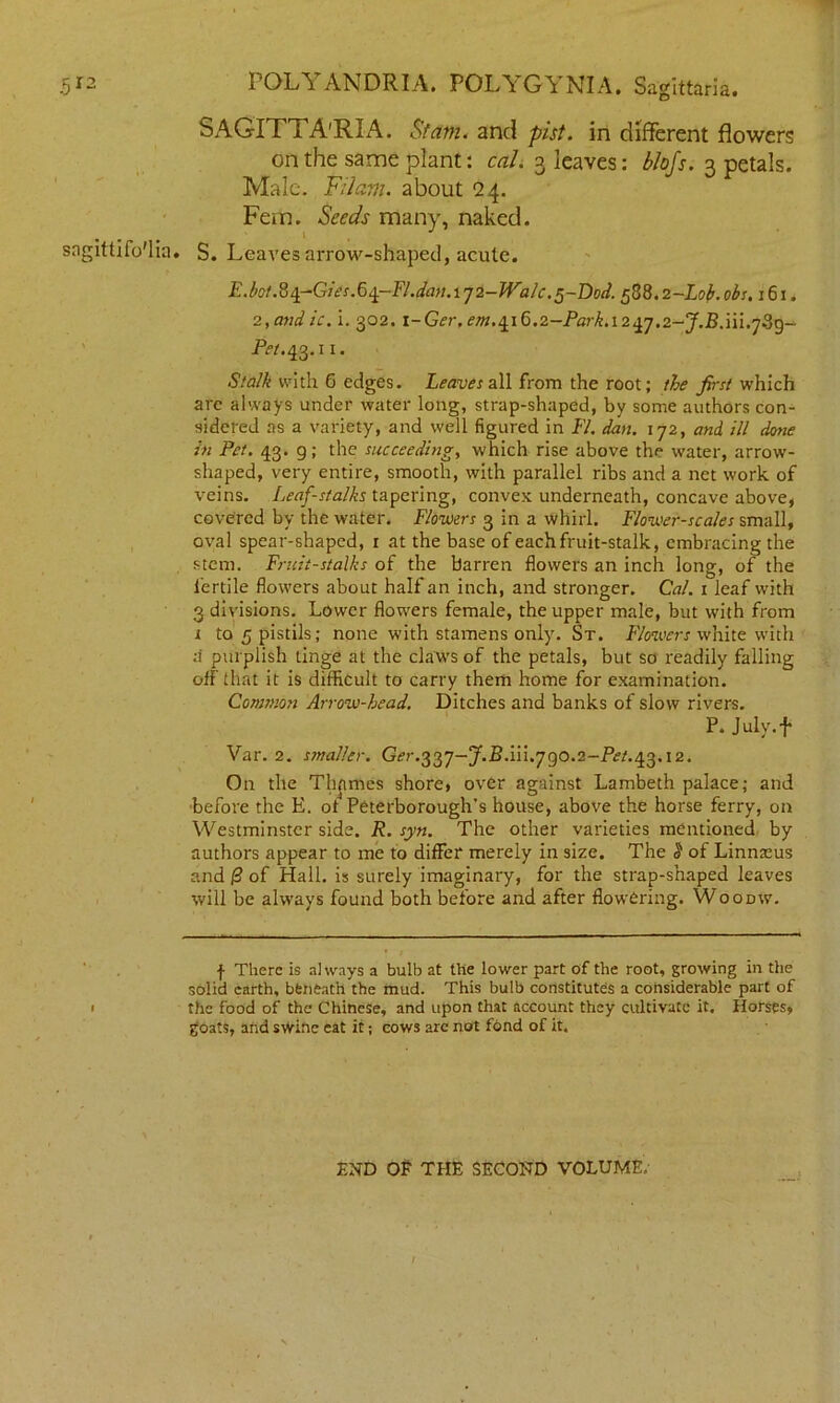 5 12 sngittilo'lia. I PGLA ANDRIA. POL\ GA NIA. Sagittaria. SAGITl A'RIA. St dm. and pist. in different flowers on the same plant: cal. o leaves: bfafs. 3 petals. Male. Filam. about 24. Fern. Seeds many, naked. S. Leaves arrow-shaped, acute. E.bot.%%-Gies.5q-FI.dan.\'j2-Walc.5-Dod. 588.2-Lob.obs. 161. 2,mtdic. i. 302. i-Grr.r/w.4i6.2-P«rLi247.2-y..B.iii.7.3g- Pet.^.x 1. Stalk with 6 edges. Leaves all from the root; the first which arc always under water long, strap-shaped, by some authors con- sidered as a variety, and well figured in FI. dan. 172, and ill dtme in Pet. 43. 9; the succeeding, which rise above the water, arrow- shaped, very entire, smooth, with parallel ribs and a net work of veins. Leaf-stalks tapering, convex underneath, concave above, covered by the water. Flowers 3 in a whirl. Flower-scales small, oval spear-shaped, 1 at the base of each fruit-stalk, embracing the stem. Fruit-stalks of the barren flowers an inch long, of the fertile flowers about half an inch, and stronger. Cal. 1 leaf with 3 divisions. Lower flowers female, the upper male, but with from 1 to 5 pistils; none with stamens only. St. Flowers white with a purplish tinge at the claws of the petals, but so readily falling off that it is difficult to carry them home for examination. Common Arrow-head. Ditches and banks of slow rivers. P. July.f Var. 2. smaller. Ger.^^y-J.B.in.ygo.2-Pet.^.i2. On the Thjimes shore, over against Lambeth palace; and before the E. of Peterborough’s house, above the horse ferry, on Westminster side. R. syn. The other varieties mentioned, by authors appear to me to differ merely in size. The § of Linnaeus and @ of Hall, is surely imaginary, for the strap-shaped leaves will be always found both before and after flowering. Woodw. f There is always a bulb at the lower part of the root, growing in the solid earth, beneath the mud. This bulb constitutes a considerable part of the food of the Chinese, and upon that account they cultivate it. Horses, goats, and swine eat it; cows are not fond of it. END OF THE SECOND VOLUME,