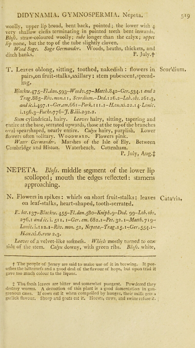 woolly, upper lip broad, bent back, pointed; the lower with 4 very 'shallow clefts terminating in pointed teeth bent inwards. Blofs. straw-coloured woolly; tube longer than the calyx; upper lip none, but the top of the tube slightly cloven. Wood Sage, Sage Germander, Woods, heaths, thickets, and ditch banks. F. July.f 1 * T. Leaves oblong, sitting, toothed, nakedisli: flowers in Scor'dium, pairs,on fruit-stalks,axillary; stem pubescent,spread- ing, Blackw^j 5-Fl.dan.5g3-W00dv.5j-Matth.842-Ger.534. 1 and 2 Trag.885-Riv.mon.i 1, Scordium.-Dod.i 26.2-Lob. ohs. 261.3, and icA.4gj.1- Ger. em.661- Park. 1 n.i-H.ox.xi.22.14-Lonic. i.196.3-Fuchs.jj6-J. B.iii.292.2. Stem cylindrical, hairy. Leaves hairy, sitting, tapering and entire at the base, serrated upwards, those at the top of the branches oval-spearshaped, nearly entire. Calyx hairy, purplish. Lower flowers often solitary. Woodward. Flowers pink. Water Germander. Marshes of the Isle of Ely. Between Cambridge and Histon. Waterbeach. Cottenham. P. July, Aug4 - i NE'PETA. Blofs. middle segment of the lower lip scolloped; mouth the edges reflected: stamens approaching. N. Flowers in spikes : whirls on short fruit-stalks: leaves Catahia, on leaf-stalks, heart-shaped, tooth-serrated. 0 E. bo't.J3j-B/ackw. 455-Fl. dan.580-Kniph.g—Dod. gg-Lob.obs, 276.1 andic. i. 511. 1 -Ger. em. 682.1-Pet. 32. i-Matth.jig— Lonic. i.112.1 -Riv. man. 52, Nepeta-Trag.i 5.1-Ger. 554.1— H.ox.xi.L.row 2.3. Leaves of a velvet-like softnefs. Whirls mostly turned to one side of the stem. Calyx downy, with green ribs. Blofs. white. f The people of Jersey are said to make use of it in brewing. It pos- sefses the bitternefs and a good deal of the flavour of hops, but upon trial it gave too much colour to the liquor. t The fresh leaves are bitter and somewhat pungent. Powdered they destroy worms. A decoction of this plant is a good fomentation in gan- grenous cases. If cows eat it when compelled by hunger, their milk gets a gariick flavour. Sheep and goats cat it. Horses, cows, and swine refuse it. ;