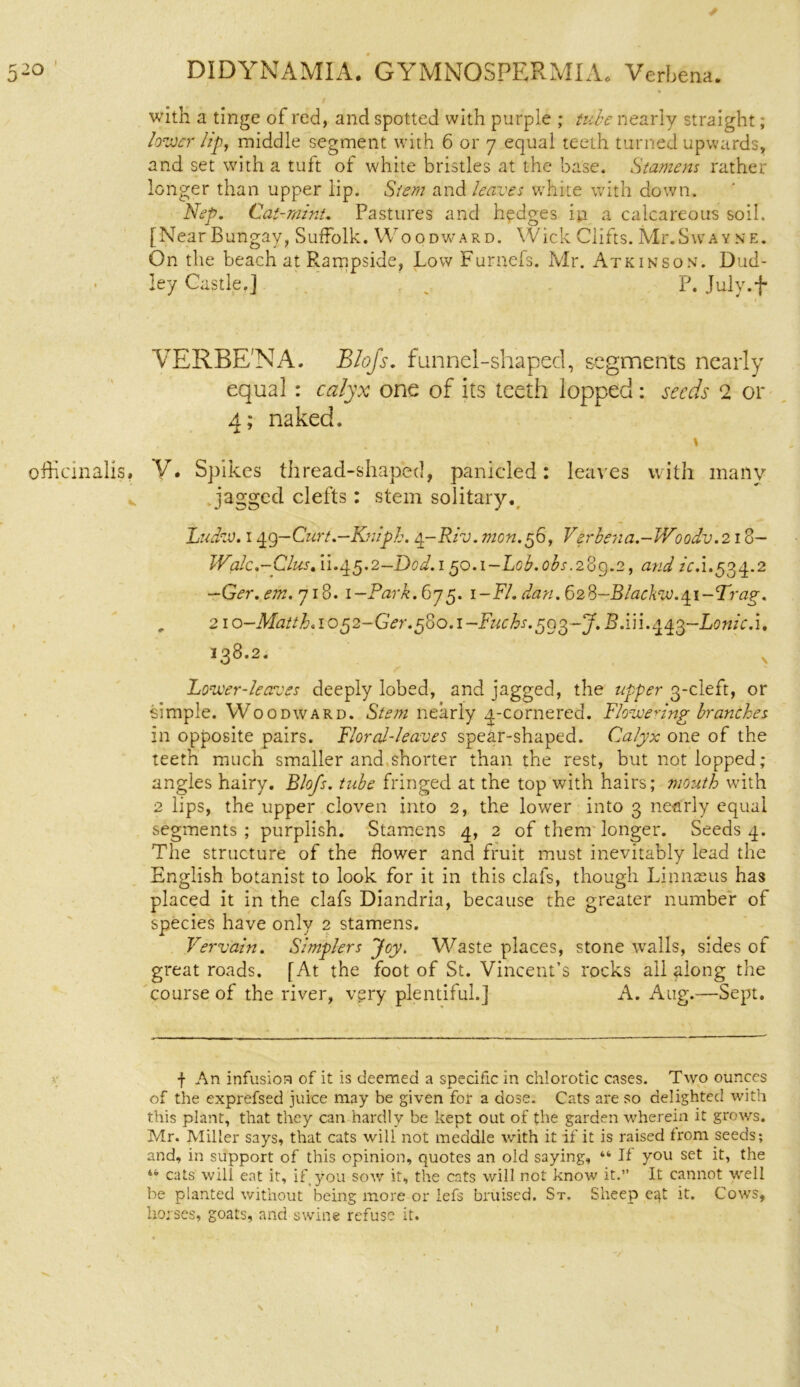 I with a tinge of red, and spotted with purple ; tube nearly straight; lower lip, middle segment with 6 or 7 equal teeth turned upwards, and set with a tuft of white bristles at the base. Stamens rather longer than upper lip. Stem and leaves white with down. Nep. Cat-mint. Pastures and hedges in a calcareous soil. [NearBungay, Suffolk. Woodward. Wick Clifts. MgSwayne. On the beach at Rampside, Low Furnefs. Mr. Atkinson. Dud- ley Castle.j „ P. July.f VERBENA. Blojs. funnel-shaped, segments nearly equal: calyx one of its teeth lopped: seeds 2 or 4; naked. \ officinalis, V. Spikes thread-shaped, panicled: leav es with many jagged clefts: stem solitary. Ludw. 14g— Curt.—Kniph. tp-Rlv. men.56, Verbena.-IVoodv.213— Walc.-Clus. ii.45.2— Dod.i 5o.1-L0b.0bs.2og.2, and /V.i.534.2 —Ger.em. 718. i-Park.by5. i-Fl. dan. 62%-Blackw.q.i-Trag. , 2io-Matth.ior>2-Ger.^o.i~Ftichs.r)oo)~J.B.i]\.^o)~Lonic.\, 138.2. Lower-leaves deeply lobed, and jagged, the upper 3-cleft, or simple. Woodward. Stem nearly 4-cornered. Flowering branches in opposite pairs. Floral-leaves spear-shaped. Calyx one of the teeth much smaller and shorter than the rest, but not lopped; angles hairy. Blo/s. tube fringed at the top with hairs; mouth with 2 lips, the upper cloven into 2, the lower into 3 nearly equal segments; purplish. Stamens 4, 2 of them longer. Seeds 4. The structure of the flower and fruit must inevitably lead the English botanist to look for it in this clafs, though Linnaeus has placed it in the clafs Diandria, because the greater number of species have only 2 stamens. Vervain. Simplers Joy. Waste places, stone walls, sides of great roads. [At the foot of St. Vincent’s rocks all along the course of the river, very plentiful.] A. Aug.—Sept. f An infusion of it is deemed a specific in chlorotic cases. Two ounces of the exprefsed juice may be given for a dose. Cats are so delighted with this plant, that they can hardly be kept out of the garden wherein it grows. Mr. Miller says, that cats will not meddle with it if it is raised from seeds; and, in support of this opinion, quotes an old saying, “ If you set it, the cats will eat it, if you sow it, the cats will not know it.” It cannot well be planted without being more or lefs bruised. St, Sheep eat it. Cows, horses, goats, and swine refuse it.
