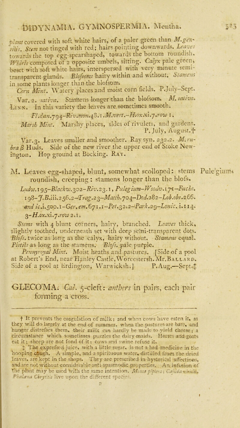 r>lant covered with soft white hmis, of a palci giccn than M^.gen~- nil's. Sum not tinged with red; hairs pointing downwards. Leaves towards the top egg-spearshaped, towards the bottom roundish. Whirls composed of 2 opposite umbels, sitting. Calyx pale green, beset with soft white hairs, interspersed with very minute semi- transparent glands. Blofsoms hairy within and witnout. 6 1 cun n is in some plants longer than the blofsonn Corn Mint. Watery places and moist corn fields. PJuly-Se.pt. Var. 2. sativa. Stamens longer than the blofsoim M. sativa. Linn*. In this variety the leaves are,sometimes smooth, FI.dan. j 9 jj.-Riv.mon. 4.8.1 .M.vert.-H.ox.xi.j .row 1. Marsh Mint. Marshy places, sides of rivulets, and gardens. P. July, August.'f* Var.3. Leaves smaller and smoother. Ray syn. 232.2. M.ru- bra @ Huds. Side of the new river the upper end of Stoke New- ington. Hop ground at Locking. Ray. * •* , , - 4 - *• M. Leaves egg-shaped, blunt, somewhat scolloped: stems Pule'gimm roundish, creeping: stamens longer than the blofs. Ludw.195-Blackzu.302-Riv.23. 1, Pulegium-Woo civ. 17*1 —Fuchs, 198-J-B.in.256.2-Trag.23-Matth.jo4~D0d.282-L0b.0bs.266. and ic.i.500.i-Ger.em.6ji.i~Pet.32.2-Park.29-Lonic. i.i 14. 3-H.ox.xi.j.row 2»i 6 Stems with 4 blunt corners, hairy, branched. Leaves thick, slightly toothed, underneath set with deep semi-transparent dots. Blofs. twice as long as the calyx, hairy without. Stamens equal. Pistils as long as the stamens. Blofs. pale pufple. , Pennyroyal Mini. Moist heaths and pastures. [Side of a pool at Robert’s End, near Hanley Castle,Worcestersh. Air.Ballard. Side of a pool at Erdington, Warwicksh.] P.Aug,—Sept.f # GLECOMA; Cal. 5-cleft: anthers in pairs, each pair forming a cross. f It prevents the coagulation of milk; and when cows have eaten it, as they will do largely at the end of summer, when the pastures are bare, and hunger d»strefses them, their milk can hardly be made to yield cheese; a circumstance which sometimes puzzles the dairy maids. Horses and goats eat it; sheep are not fond of it •, cows and swine refuse it. X The exprefsed juice, with a little sugar, is not a bad medicine in the hooping ebugh. A simple, and a spirituous water, distilled from the dried leaves, are kept in the shops. They are prescribed in hysterical affections, and are not without considerable anti spasmodic properties. An infusion of the phnt may be used With the same intention. Mi sea fpier.s; Camda•umdii. Phalana Chryv.tis live upon the different specif '. t
