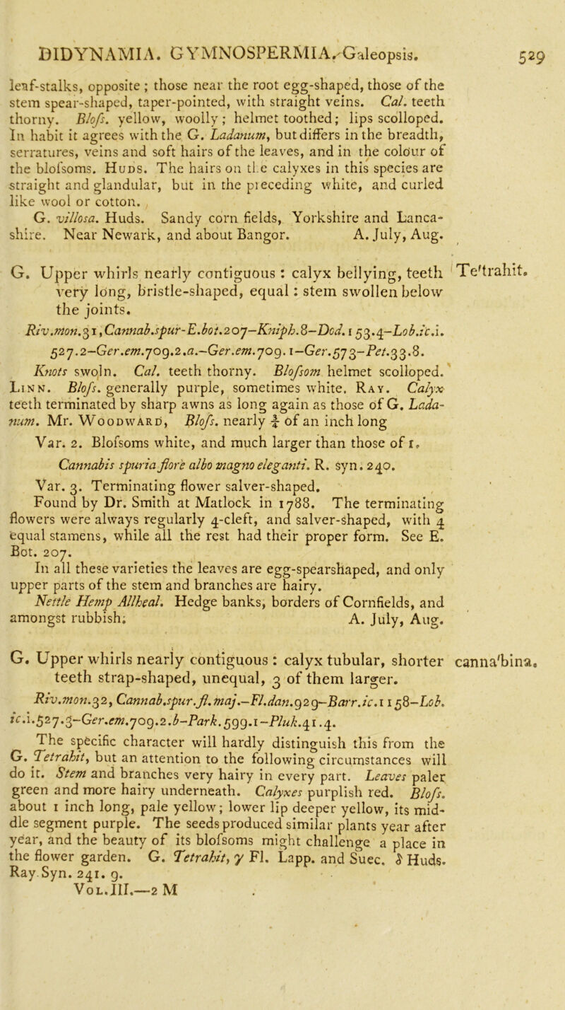 leaf-stalks, opposite ; those near the root egg-shaped, those of the stern spear-shaped, taper-pointed, with straight veins. Cal. teeth thorny. Blofs. yellow, woolly; helmet toothed; lips scolloped. In habit it agrees with the G. Ladanum, but differs in the breadth, serratures, veins and soft hairs of the leaves, and in the colour of the blofsoms. Huds. The hairs on ti e calyxes in this species are straight and glandular, but in the preceding white, and curled like wool or cotton. G. villosa. Huds. Sandy corn fields, Yorkshire and Lanca- shire. Near Newark, and about Bangor. A. July, Aug. G. Upper whirls nearly contiguous: calyx bellying, teeth Te'trahit. very long, bristle-shaped, equal: stem swollen below the joints. Riv .mon.31 yCannab.spur-E.bot.207-Kniph.%-Dcd. i ^.q-Lob.ic.i. 52'j.2-Ger.e?n.jog.2.a.~Ger.em.jog. i-Ger.573-Pet.33.%. Knots swoln. Cal. teeth thorny. Blofsom helmet scolloped. Linn. Blofs. generally purple, sometimes white. Ray. Calyx teeth terminated by sharp awns as long again as those of G. Lada- num. Mr. Woodward, Blofs. nearly ^ of an inch long Var. 2. Blofsoms white, and much larger than those of 1, Cannabis spuria fiore a!bo magno eleganti. R. syn. 240. Var. 3. Terminating flower salver-shaped. Found by Dr. Smith at Matlock in 1788. The terminating flowers were always regularly 4-cleft, and salver-shaped, with 4 equal stamens, while all the rest had their proper form. See E. Bot. 207. In all these varieties the leaves are egg-spearshaped, and only upper parts of the stem and branches are hairy. Kettle Hetnp Allheal. Hedge banks, borders of Cornfields, and amongst rubbish. A. July, Aug. G. Upper whirls nearly contiguous : calyx tubular, shorter canna'bina, teeth strap-shaped, unequal, 3 of them larger. Riv.mon.32, Cannab.spur.fi.maj .-Fl.dan.g2g-Ba.rr .ic .1158-Lob. tcd\.527.3~Ger.em.']og.2.b-Park.r>gg.i-Pluh.QLi .4. The specific character will hardly distinguish this from the G. Tetrahit, but an attention to the following circumstances will do it. Stem and branches very hairy in every part. Leaves paler green and more hairy underneath. Calyxes purplish red. Blofs. about 1 inch long, pale yellow; lower lip deeper yellow, its mid- dle segment purple. The seeds produced similar plants year after year, and the beauty of its blofsoms might challenge a place in the flower garden. G. Tetrahit, y FI. Lapp, and Suec. £ Huds. Ray. Syn. 241. g. Vol.III.—2M