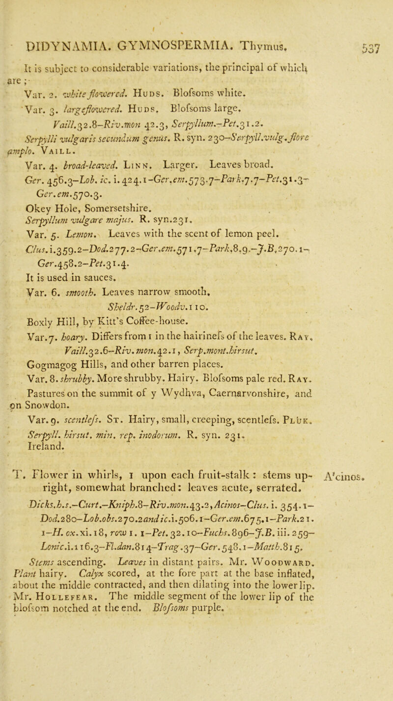 I t DIDYNAMIA. GYMNOSPERMIA. Thymus. It is subject to considerable variations, the principal of which are Var. 2. white flowered. Huds. Blofsoms white. Var. 3. largeflowered. Huds. Blofsoms large. Vaill.32.8-Riv.mon 42.3, Serpylium.-Pet.31.2. Serpylli vulgaris secundum genus. R. syn. 2 3o—Serpyll.vulg.flore fmpio. Vaill. Var. 4. broad-leaved. Linn. Larger. Leaves broad. Ger. 456.3-Lob. ic. i. 424.1 -Ger.em.573.7-LM.7.p-Pet.31.3- Ger.em.3 70.3. Okey Hole, Somersetshire. Serpyllum vulgare majus. R. syn.23i. Var. 5. Lemon. Leaves with the scent of lemon peel. C/us.i.359.2-Dod.2’]j.2-Gcr,em.y'ji.'j-Park,8.g.-J.B.2jo.i~ Ger. 458.2-Pet. 31.4. It is used in sauces. Var. 6. smooth. Leaves narrow smooth. Sheidr. 5 2 - Woodv. 110. Boxly Hill, by Kitt’s Coffee-house. Var.7. hoary. Differs from 1 in the hairinefs of the leaves. Ray* Vaill.32.6—Riv.mon. ^.2.1, Serp.mont.hirsut. Gogmagog Hills, and other barren places. Var. 8. shrubby. More shrubby. Hairy. Blofsoms pale red. Ray. Pastures on the summit of y Wydhva, Caernarvonshire, and on Snowdon. Var. g. scentlefs. St. Hairy, small, creeping, scentlefs. Pluk. Serpyll. hirsut. min. rep. inodorum. R. syn. 231. Ireland. T. Flower in whirls, 1 upon each fruit-stalk : stems up- right, somewhat branched: leaves acute, serrated. Dicks.h.s.—Curt.—Kniph.8-Riv.mon.43.2yAcinos-Clus. i. 354.1— Dod.28o-Lob.obs.2yo.2andic.\.po6.i-Ger.e?n.6'j ^.i-Park.21. i~H. cx.xi. 18, row 1. i-Pet. 32. io-Fuchs.8g6-J.B. iii. 239— Lonic. i.i 16.3~Fl.dan.8i q-Trag .3j~Ger. 3^8.1— Maith.815. Stems ascending. Leaves in distant pairs. Mr. Woodward. Plant hairy. Calyx scored, at the fore part at the base inflated, about the middle contracted, and then dilating into the lower lip. Mr. Hollefear. The middle segment of the lower lip of the blofsom notched at the end. Blofsoms purple. 537 A'cinos.