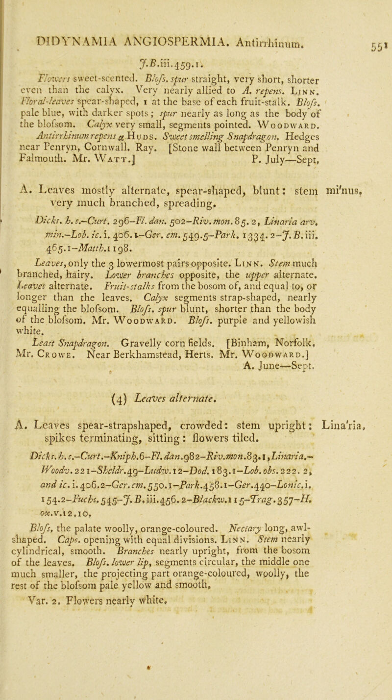 J.B. iil* 4 59. i • Flowers sweet-scented. Blofs. spur straight, very short, shorter even than the calyx. Very nearly allied to A. refens. Linn. Floral-leaves spear-shaped, i at the base of each fruit-stalk. Blofs. pale blue, with darker spots ; spur nearly as long as the body of the blofsom. Calyx very small, segments pointed. Woodward. Antirrhinum repens # H u d s. Sweet smelling Snafdrag on. Hedges near Penryn, Cornwall. Ray. [Stone wall between Penryn and Falmouth. Mr. Watt.] ' P. July—Sept, A. Leaves mostly alternate, spear-shaped, blunt: stem mi'nus, very much branched, spreading. Dicks. h.s.—Curt. 2g6-Fl. dan. 502—Riv.mon. 85. 2, Linaria arv. min.—Lob. ic. i. 406. i-Ger. em. 549.5-Park. 1334. 2-J. B. iii. 465.1-M2//L1198. Leaves, only the 3 lowermost pairs opposite. Linn. Stem much branched, hairy. Lower branches opposite, the upper alternate. Leaves alternate. Fruit-stalks from the bosom of, and equal to, or longer than the leaves. Calyx segments strap-shaped, nearly equalling the blofsom. Blofs. spur blunt, shorter than the body of the blofsom. Mr. Woodward. Blofs. purple and yellowish white. Least Snapdragon. Gravelly corn fields. [Binham, Norfolk. Mr. Crowe. Near Berkhamstead, Herts. Mr. Woodward.] A. June—Sept. (4) Leaves alternate. A. Leaves spear-strapshaped, crowded: stem upright: Linaria, spikes terminating, sitting : flowers tiled. Dicks, h. s.-Curt.-Kniph.6-Fl. dan.g82-Riv.7non.83.1 f inaria.— Woodv.22i-Sheldr.q.g-Ludw.\2-Dod. 183.1-Lob.obs. 222. 2, and ic. i. ^o6.2-Ger.em.^^o.i-Park.^f8.i-Ger.^o-Lonic.l. 15^.2-Fuchs. 545-7. B. iii.456.2-Blackzu.i 1 5~TW7g. 357-Z/, 0X.VA2.lO. Blofs. the palate woolly, orange-coloured. Nectary long, awl- shaped. Caps, opening with equal divisions. Linn. Stem nearly cylindrical, smooth. Branches nearly upright, from the bosom of the leaves. Blofs. lower lip, segments circular, the middle one much smaller, the projecting part orange-coloured, woolly, the rest of the blofsom pale yellow and smooth, Var. 2. Flowers nearly white.