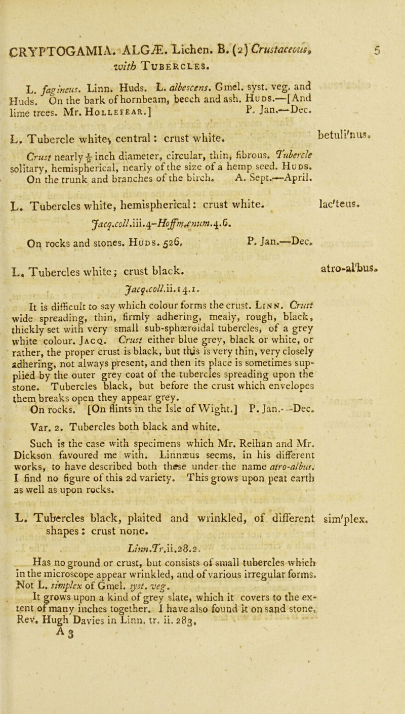ivith Tubercles. L, Jdg metis» Linn. Huds. L. albescens. Gmcl. syst. veg. and Huds. On the bark of hornbeam, beech and ash. Huds.—[ And lime trees. Mr. Hollefear.] P- Jan.-—Dec. L. Tubercle white* central: crust white. betuli'nus. Crust nearly f inch diameter, circular, thin, fibrous. Tubercle solitary, hemispherical, nearly of the size of a hemp seed. Huds. On the trunk and branches of the birch. A. Sept.—April. L. Tubercles white, hemispherical: crust white. lac'teus. Jacq.coll.iii.q-HQ.4.6. On rocks and stones. Huds. 526, P. Jan.—Dec. L. Tubercles white; crust black. atro-al'bus Jacq.coll.il.14.1. It is difficult to say which colour forms the crust. Linn. Crust wide spreading, thin, firmly adhering, mealy, rough, black, thickly set with very small sub-sphseroidal tubercles, of a grey white colour. Jacq. Crust either blue grey, black or white, or rather, the proper crust is black, but this is very thin, very closely adhering, not always present, and then its place is sometimes sup- plied by the outer grey coat of the tubercles spreading upon the stone. Tubercles black, but before the crust which envelopes them breaks open they appear grey. On rocks. [On flints in the Isle of Wight.] P. Jan.- -Dec. Var. 2. Tubercles both black and white. Such is the case with specimens which Mr. Relhan and Mr. Dickson favoured me with. Linnxus seems, in his different works, to have described both these under the name atro-albus. I find no figure of this 2d variety. This grows upon peat earth as well as upon rocks. L. Tubercles black, plaited and wrinkled, of different sim'plex. shapes: crust none. Linn.Tr.11.28.2. Has no ground or crust, but consists of small tubercles which in the microscope appear wrinkled, and of various irregular forms. Not L. simplex of Gmel. syst. veg. It grows upon a kind of grey slate, which it covers to the ex- tent ofmany inches together. I have also found k on sand stone, Rev. Hugh Davies in Linn, tr, ii, 283, a3