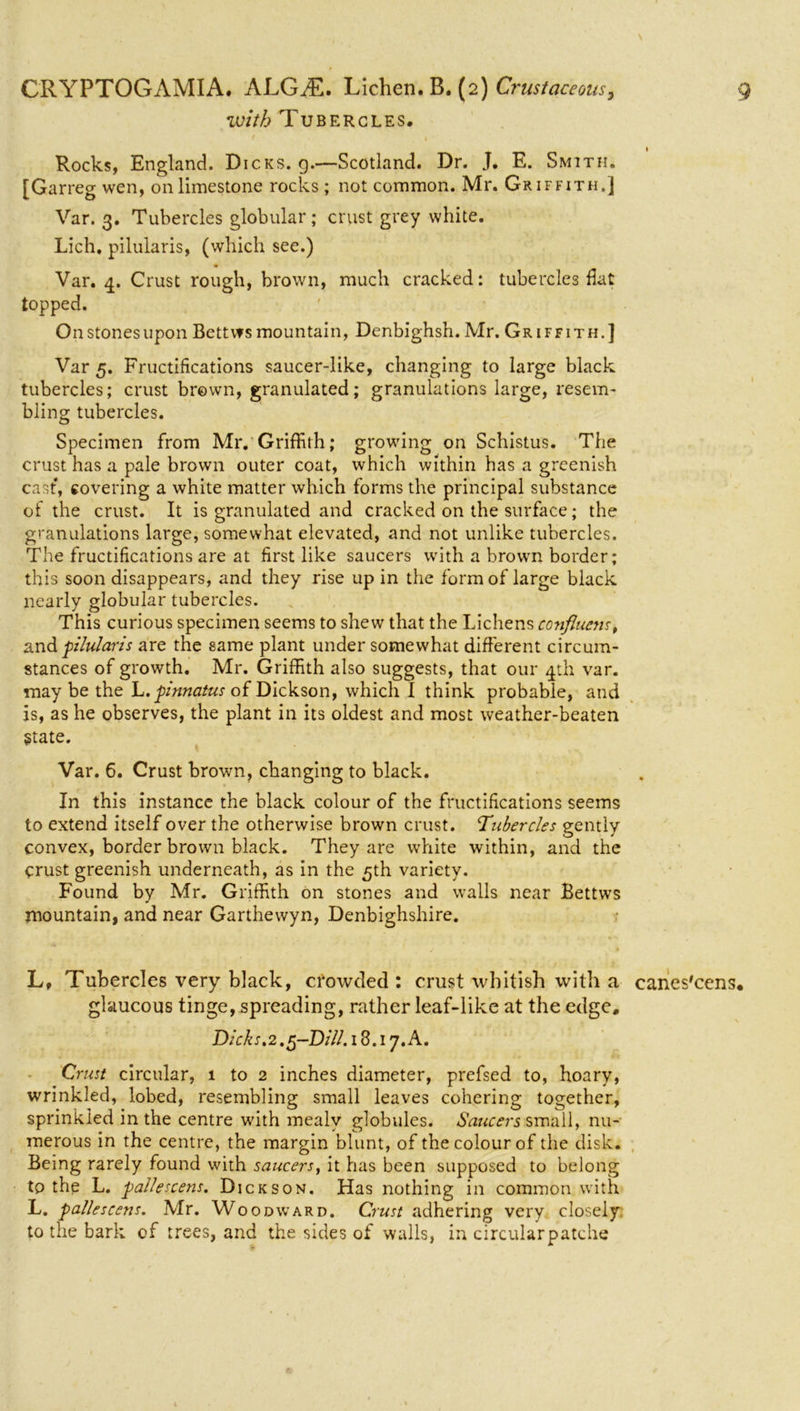 with Tubercles. Rocks, England. Dicks, g.—Scotland. Dr. J. E. Smith. [Garreg wen, on limestone rocks; not common. Mr. Griffith.] Var. 3. Tubercles globular; crust grey white. Lich. pilularis, (which see.) Var. 4. Crust rough, brown, much cracked; tubercles flat topped. Onstonesupon Bettvfs mountain, Denbighsh. Mr. Griffith.] Var 5. Fructifications saucer-like, changing to large black tubercles; crust brown, granulated; granulations large, resem- bling: tubercles. Specimen from Mr. Griffith; growing on Schistus. The crust has a pale brown outer coat, which within has a greenish cast, covering a white matter which forms the principal substance of the crust. It is granulated and cracked on the surface; the granulations large, somewhat elevated, and not unlike tubercles. The fructifications are at first like saucers with a brown border; this soon disappears, and they rise up in the form of large black nearly globular tubercles. This curious specimen seems to shew that the Lichens confluent and pilularis are the same plant under somewhat different circum- stances of growth. Mr. Griffith also suggests, that our 4th var. may be the L. pinnatus of Dickson, which I think probable, and is, as he observes, the plant in its oldest and most weather-beaten State. Var. 6. Crust brown, changing to black. In this instance the black colour of the fructifications seems to extend itself over the otherwise brown crust. Tubercles gently convex, border brown black. They are white within, and the crust greenish underneath, as in the 5th variety. Found by Mr. Griffith on stones and walls near Bettws mountain, and near Garthewyn, Denbighshire. L, Tubercles very black, crowded : crust whitish with a canes'cens. glaucous tinge, spreading, rather leaf-like at the edge. Dicks.2.5-DiU. 18.17. A. Crust circular, 1 to 2 inches diameter, prefsed to, hoary, wrinkled, lobed, resembling small leaves cohering together, sprinkled in the centre with mealy globules. Saucers small, nu- merous in the centre, the margin blunt, of the colour of the disk. Being rarely found with saucers, it has been supposed to belong to the L. pallescens. Dickson. Has nothing in common with L. pallescens. Mr. Woodward. Crust adhering very closely to the bark of trees, and the sides of walls, in circularpatche