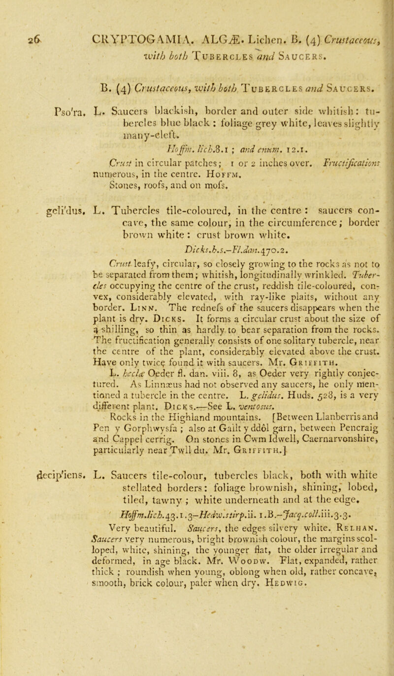 with both Tubercles and Saucers. B. (4) Crustaceous, with both Tubercles and Saucers. Pso'ra. L* Saucers blackish, border and outer side whitish: tu- bercles blue black : foliage grey white, leaves slightly many-clefU Hojfm, lich&.l ; and enum. 12.1. Crust in circular patches; 1 or 2 inches over. Fructifications numerous, in the centre. Hoffm. Stones, roofs, and on mofs. gcli'dus, L. Tubercles tile-coloured, in the centre : saucers con- cave, the same colour, in the circumference; border brown white : crust brown white. Dicks.h,s,—FI.dan, \j 0.2. Crust leafy, circular, so closely growing to the rocks as not to be separated from them; whitish, longitudinally wrinkled. Fuber- cles occupying the centre of the crust, reddish tile-coloured, con- vex, considerably elevated, with ray-like plaits, without any border. Linn. The rednefs of the saucers disappears when the plant is dry. Dicks. It forms a circular crust about the size of 4 shilling, so thin as hardly to bear separation from the rocks. The fructification generally consists of one solitary tubercle, near the centre of the plant, considerably elevated above the crust. Have only twic$ found it with saucers. Mr. Griffith. L. heclce Oeder fl. dan. viii. 8, as Oeder very rightly conjec- tured. As Linnaeus had not observed any saucers, he only men- tioned a tubercle in the centre. L. gclidus. Huds. 528, is a very different plant. Dicks.-—See L. ventosus. Rocks in the Highland mountains. [Between Llanberrisand Pen y Gorpliwysfa ; also at Gailt y ddol garn, between Pencraig and Cappel cerrig. On stones in Cwm Idwell, Caernarvonshire> particularly near Twll du. Mr. Griffith.] 4ecipfiens. L. Saucers tile-colour, tubercles black, both with white stellated borders: foliage brownish, shining, lobed, tiled, tawny ; white underneath and at the edge. Hojfmdich.^.i .3-Hedzv.stirp.il. 1 J$.~Jacq.colLi\i.§.§, Very beautiful. Saucers, the edges silvery white. Relhan. Saucers very numerous, bright brownish colour, the margins scol- loped, white, shining, the younger flat, the older irregular and deformed, in age black. Mr. Woodw. Flat, expanded, rather thick ; roundish when young, oblong when old, rather concave^ smooth, brick colour, paler when dry. Hedwig. /